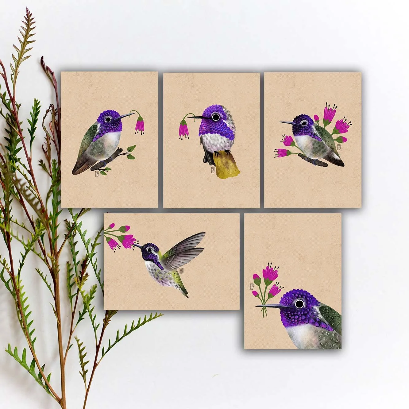 Costa's Hummingbird Postcard Set, Hummingbird PostcardPurple Bird Art Print. SBC-145