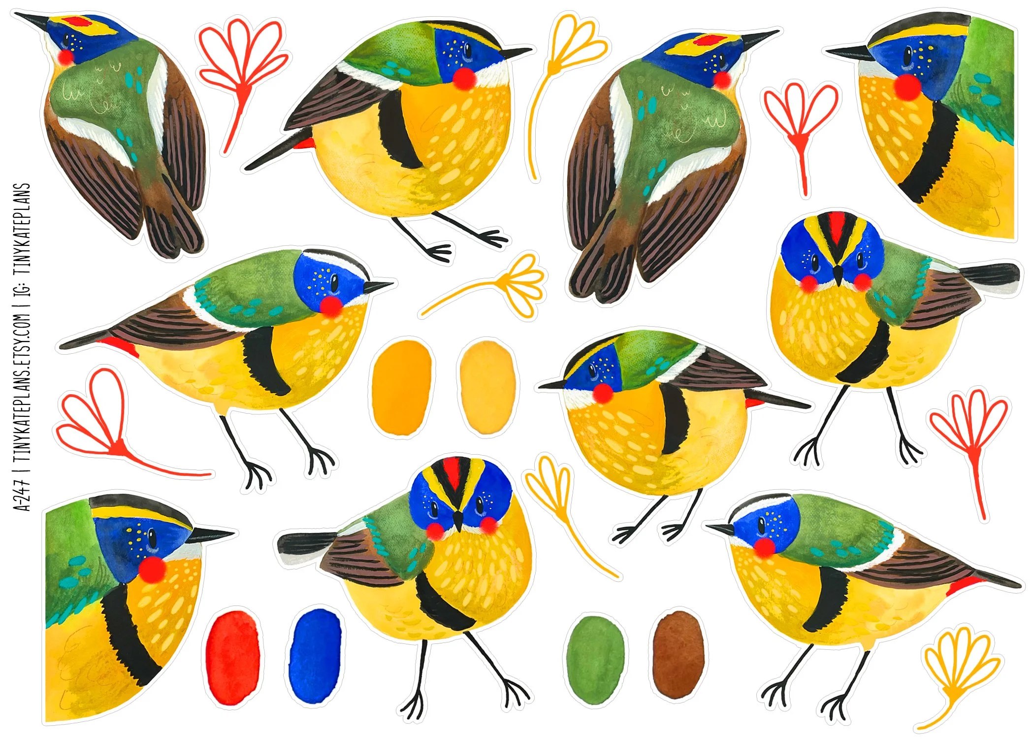 A-247 Many color birds 5x7.jpg