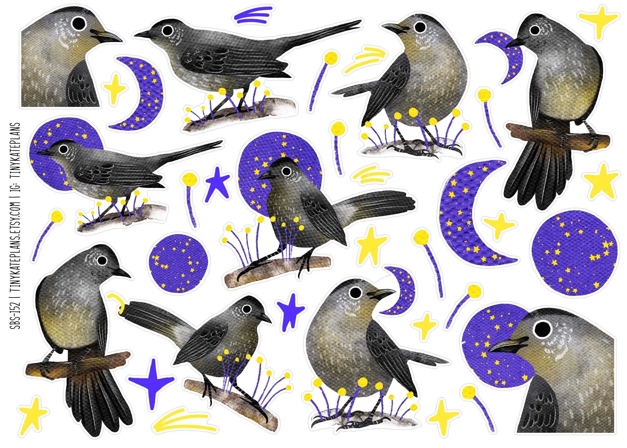 SBS-152 gray catbird 5x7.jpg