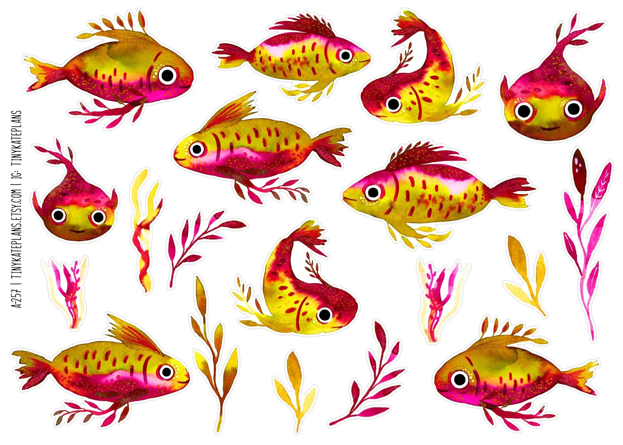 A-257 Pink and green fish 5x7.jpg