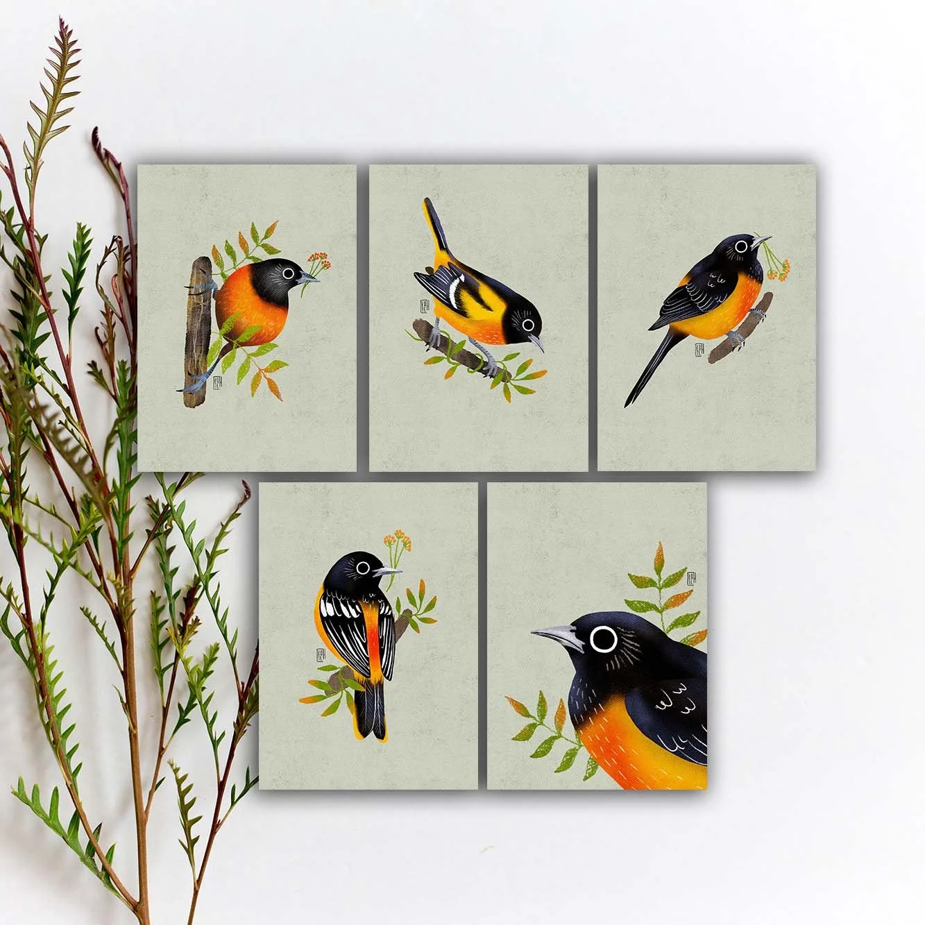 SBC-150 baltimore oriole 5x7 etsy.jpg