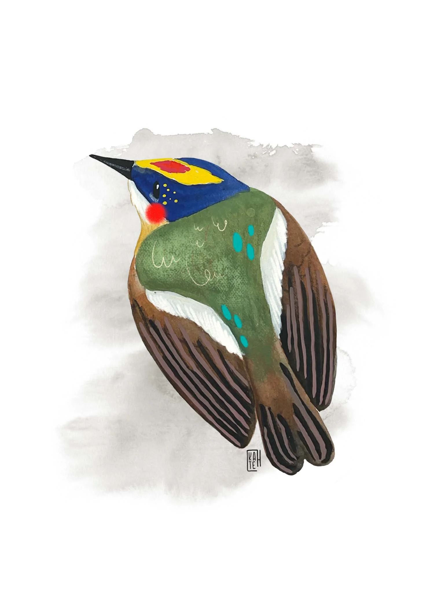 AC-228 many-colored rush tyrant-4.jpg