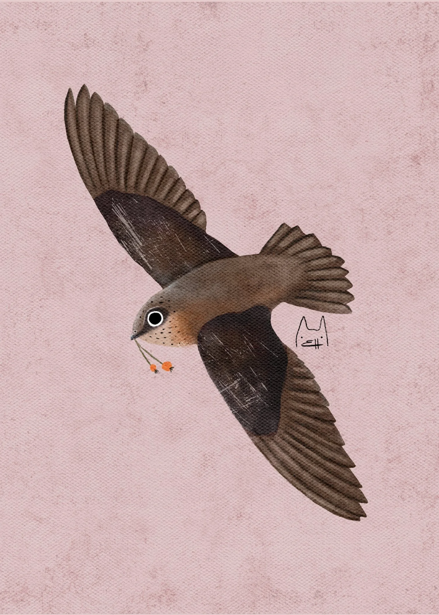 SBC-115 chimney swift 2.jpg