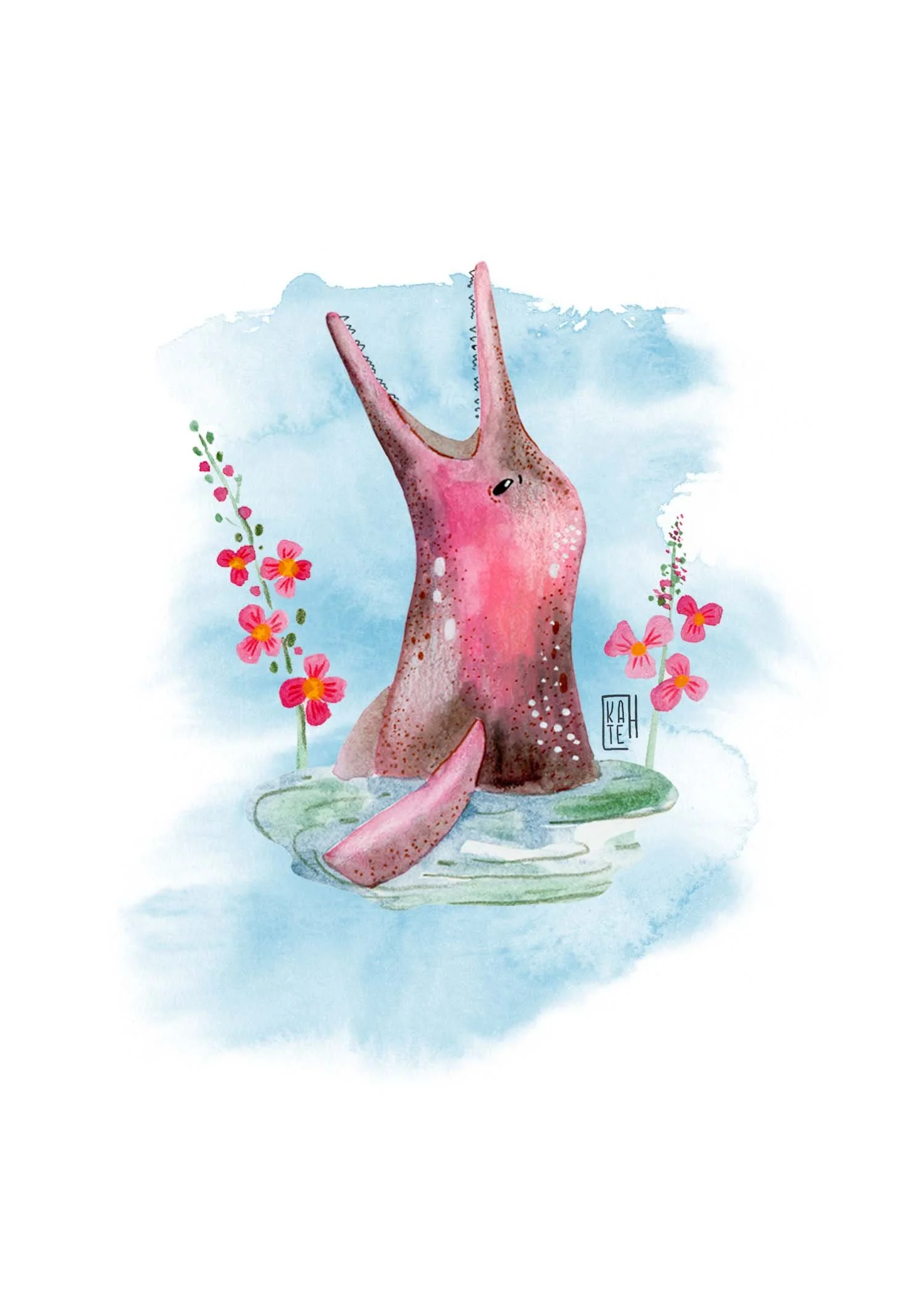 AC-237 pink dolphins-3.jpg