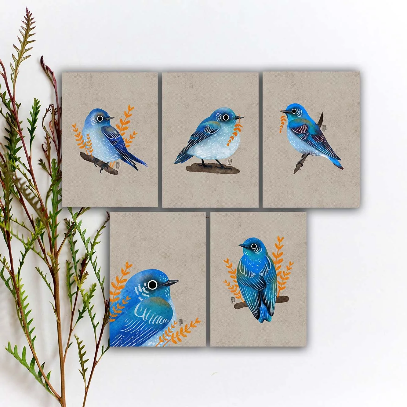 SBC-133 mountain bluebird 5x7 etsy.jpg