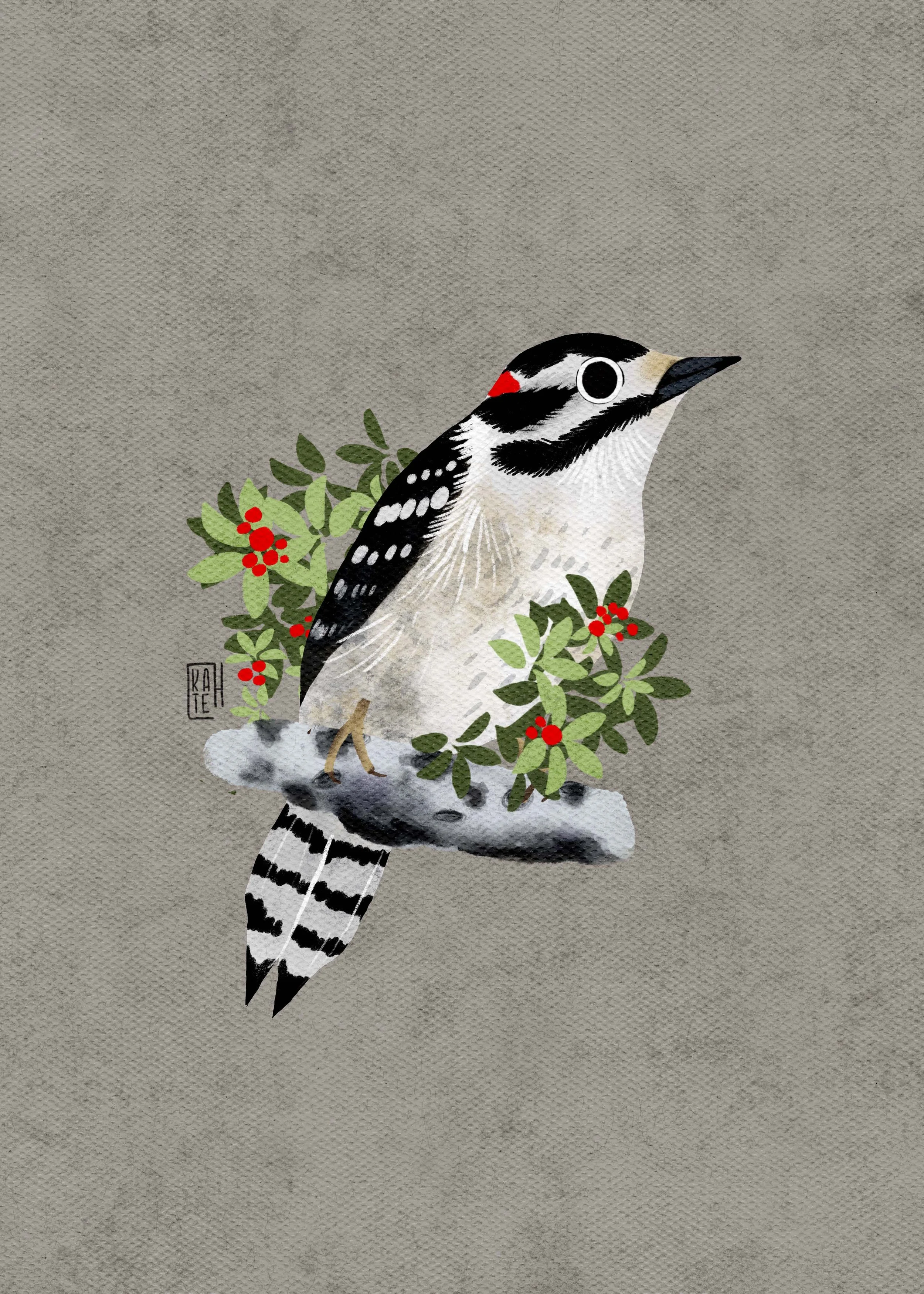 SBC-148 Downy Woodpecker-5.jpg