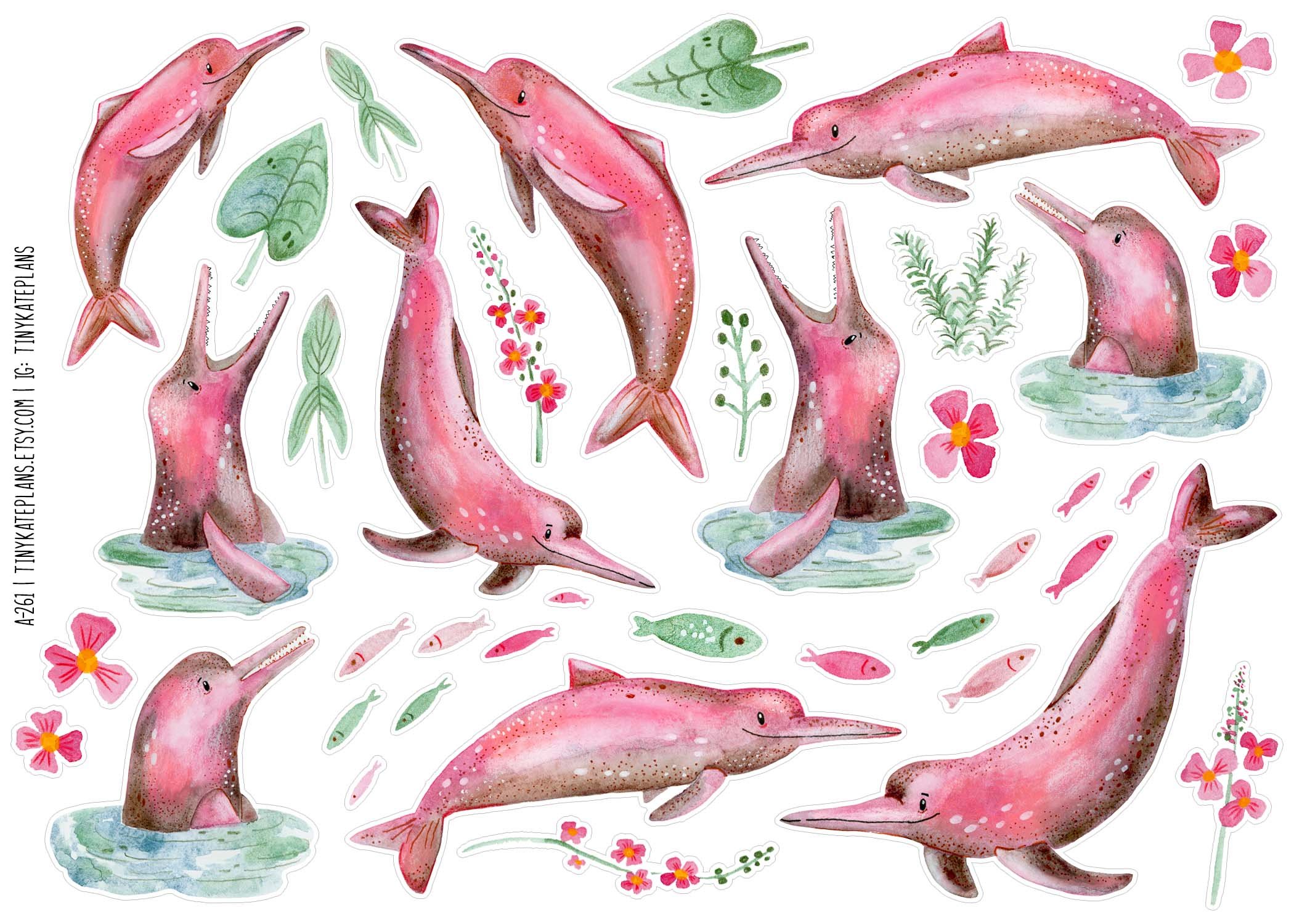 A-261 Pink dolphins 5x7.jpg