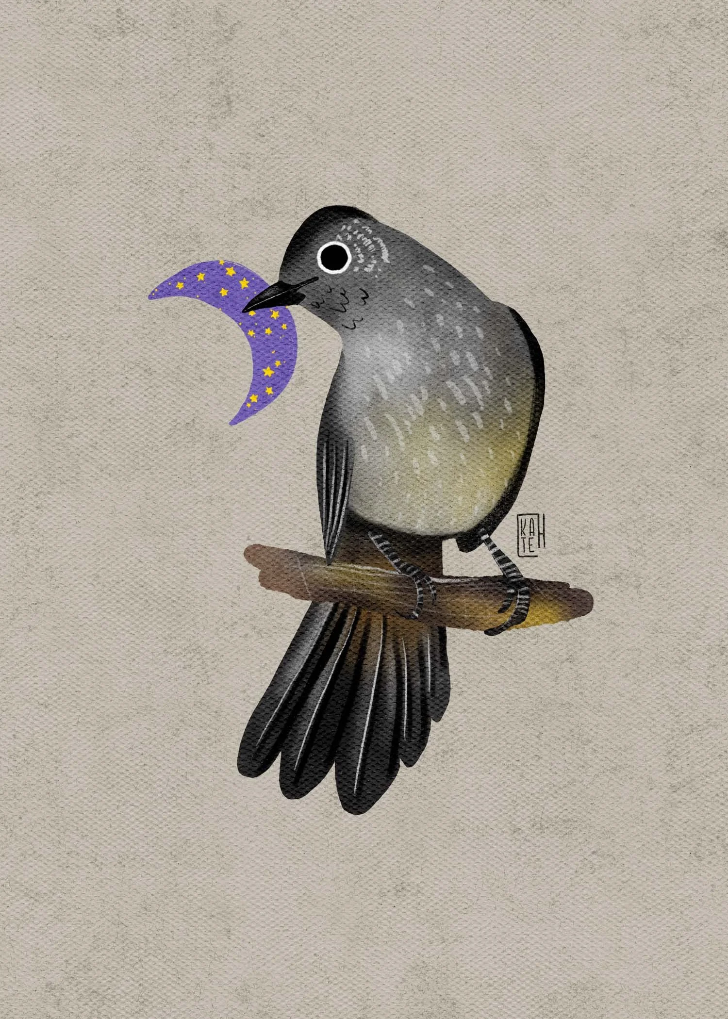 SBC-152 gray catbird-5.jpg