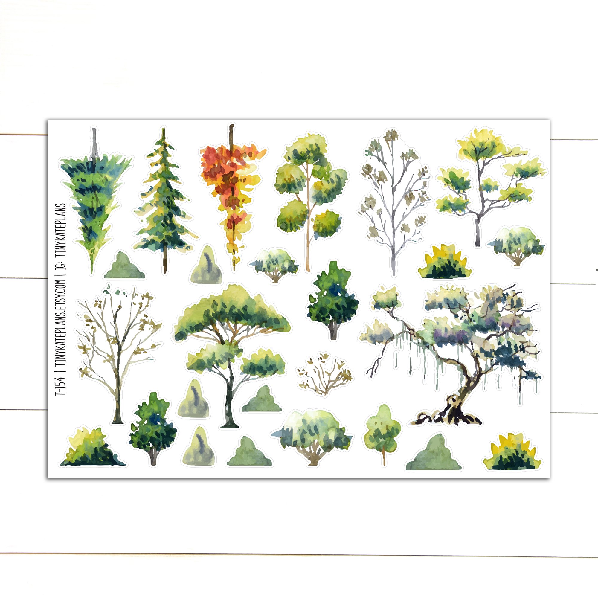 T-154 watercolor trees 5x7 etsy.jpg