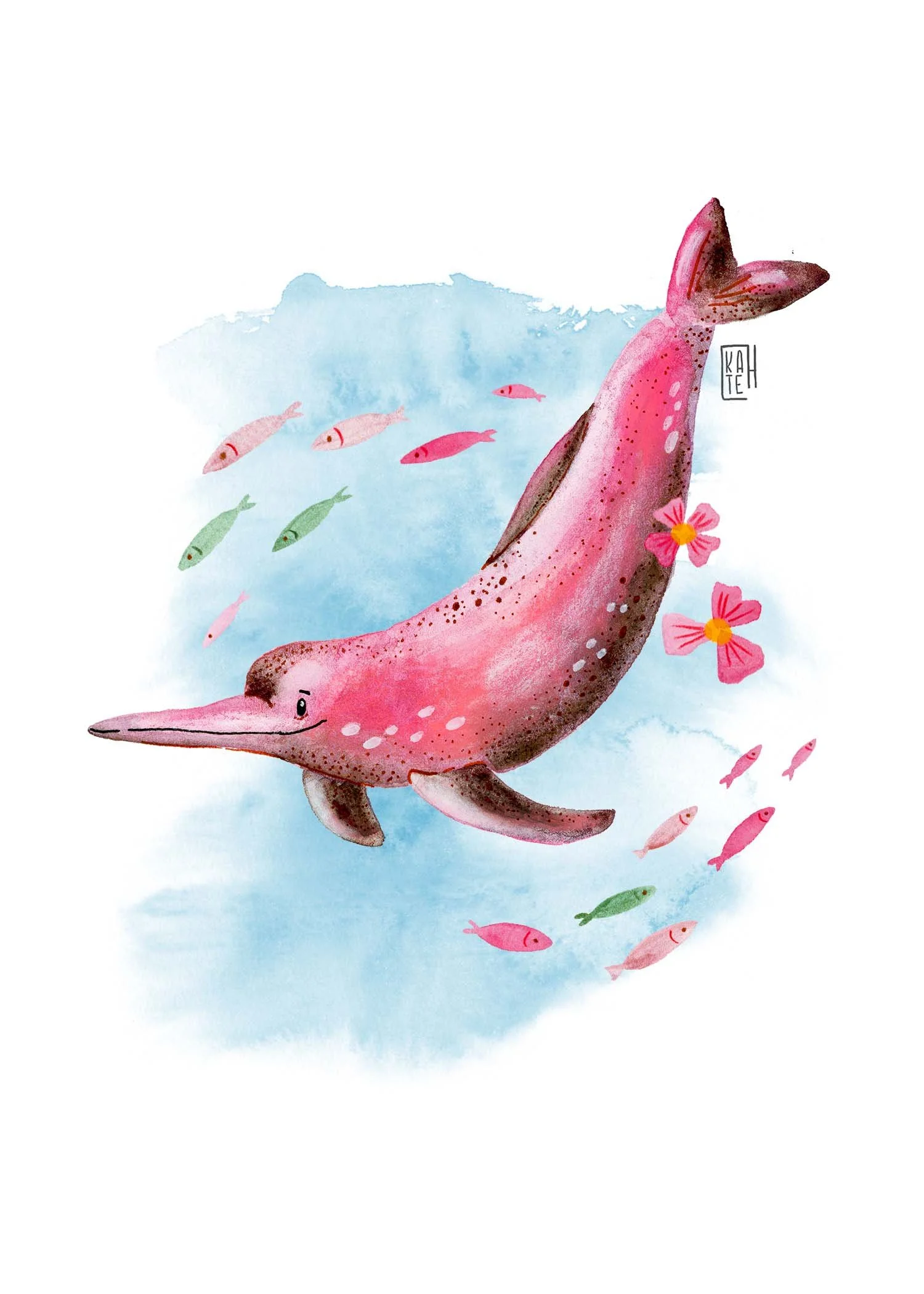 AC-237 pink dolphins-1.jpg