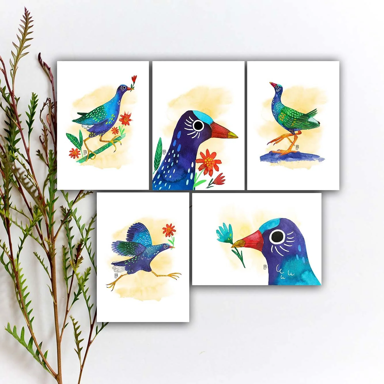 Purple Gallinule Bird Postcard Set, Colorful Bird Postcards, Marsh & Swamp Bird Art Print. AC-230