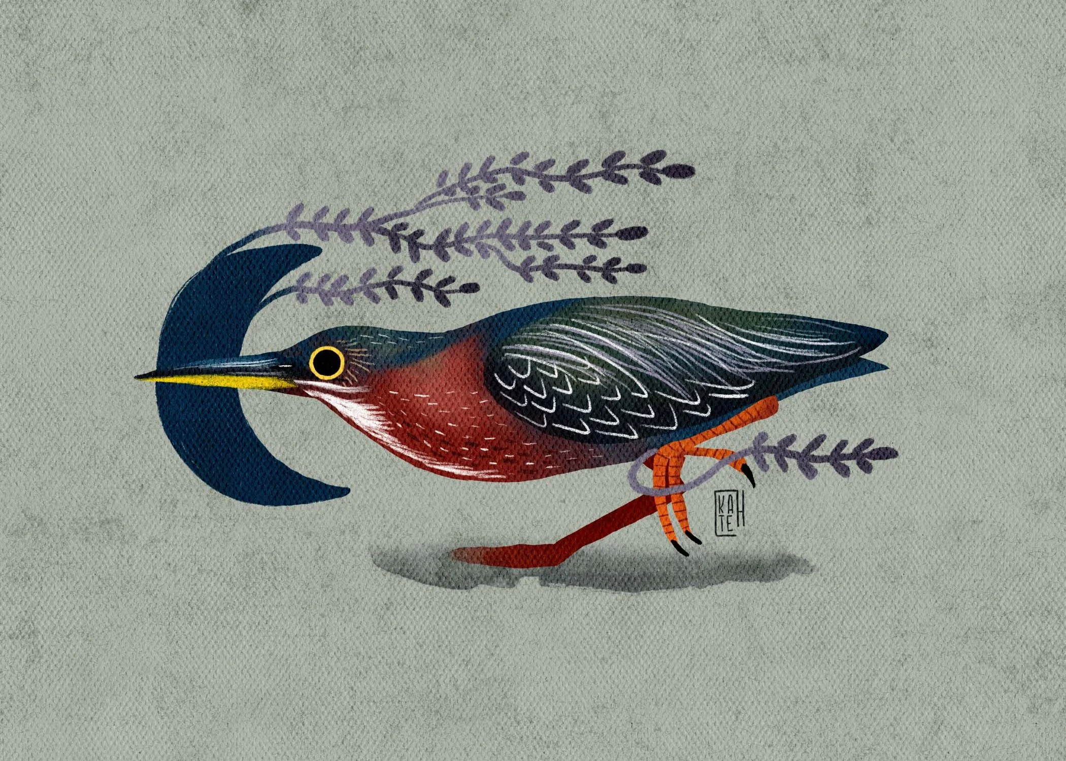 SBC-134 green heron-3.jpg