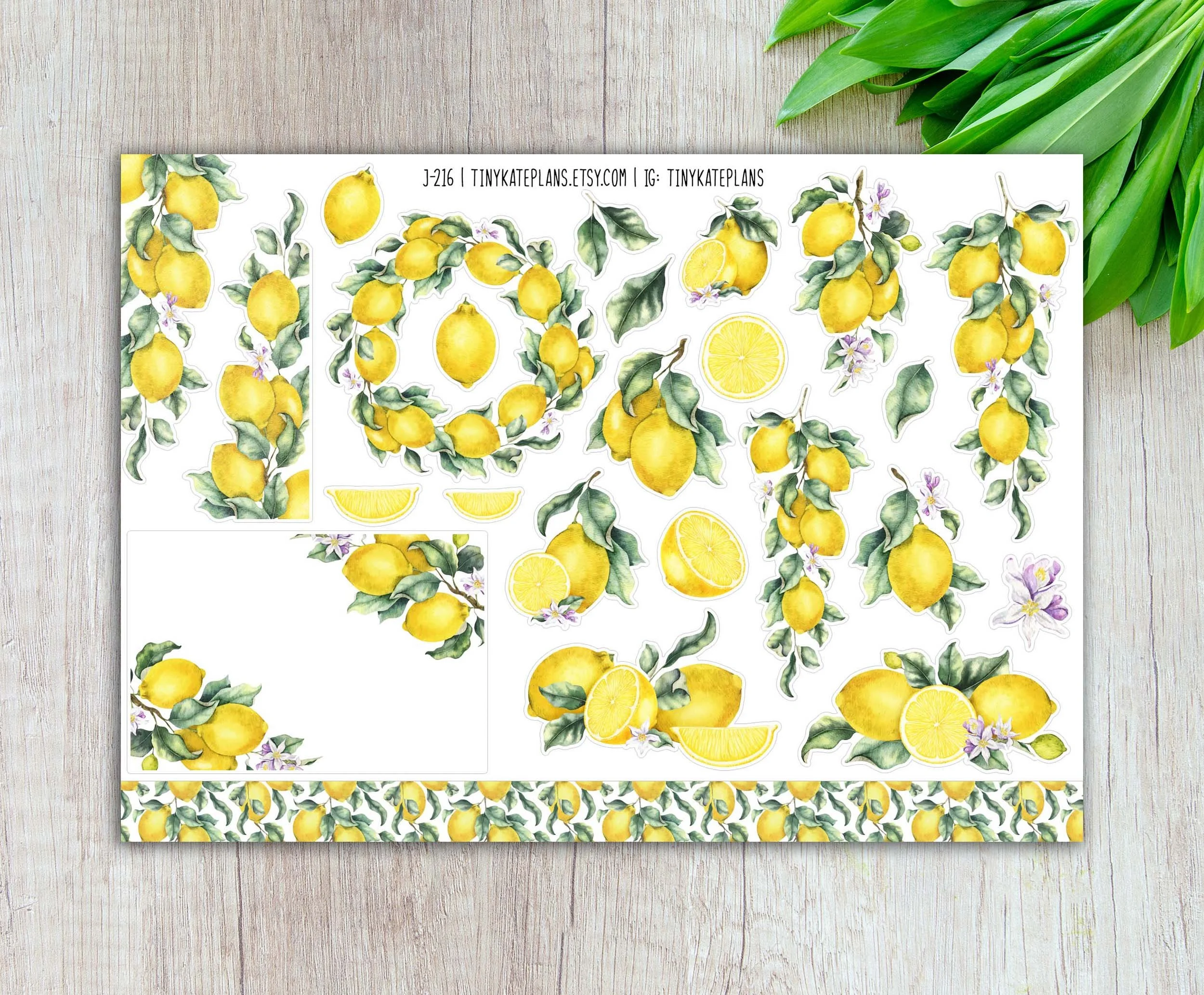 J-216 lemons 5x7 etsy.jpg