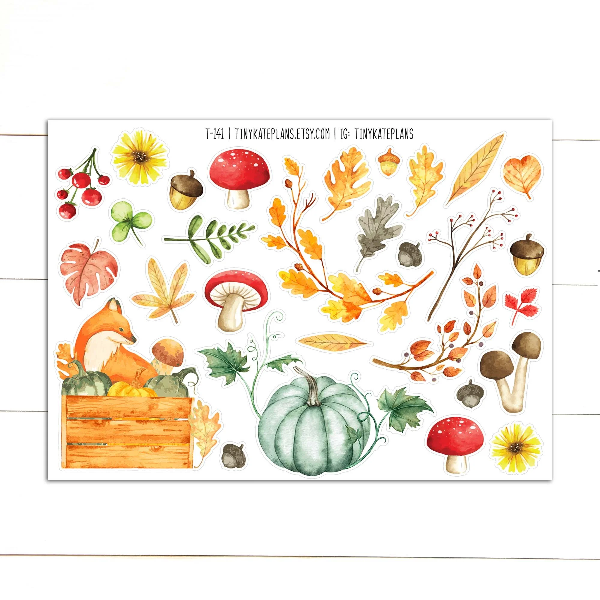 T-141 box with pumpkins 5x7 etsy.jpg
