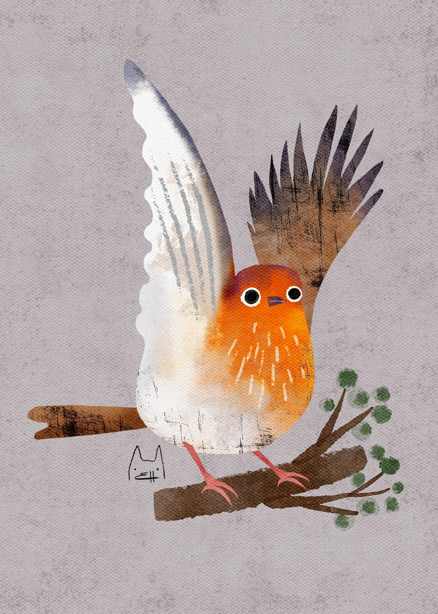 SBC-105 english robin-4.jpg