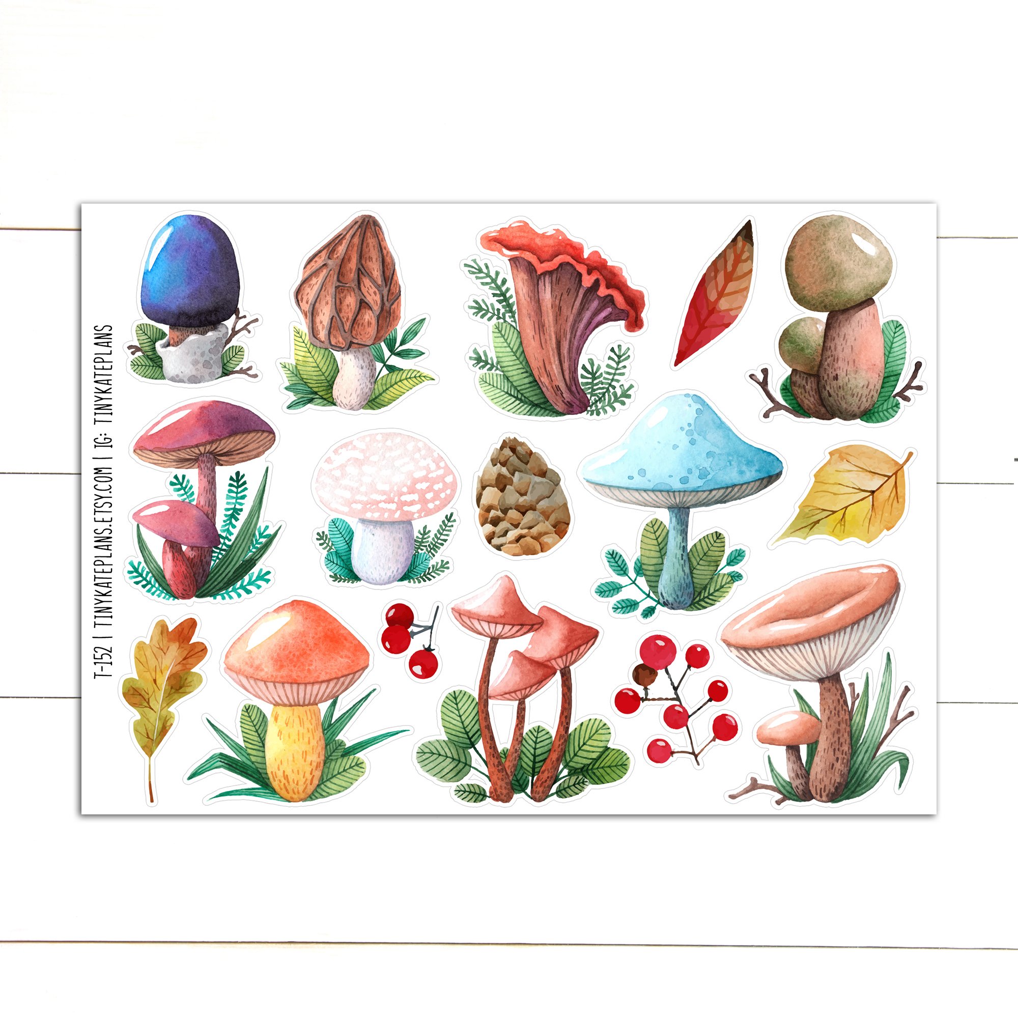 T-152 cute mushrooms 2 - 5x7 etsy.jpg