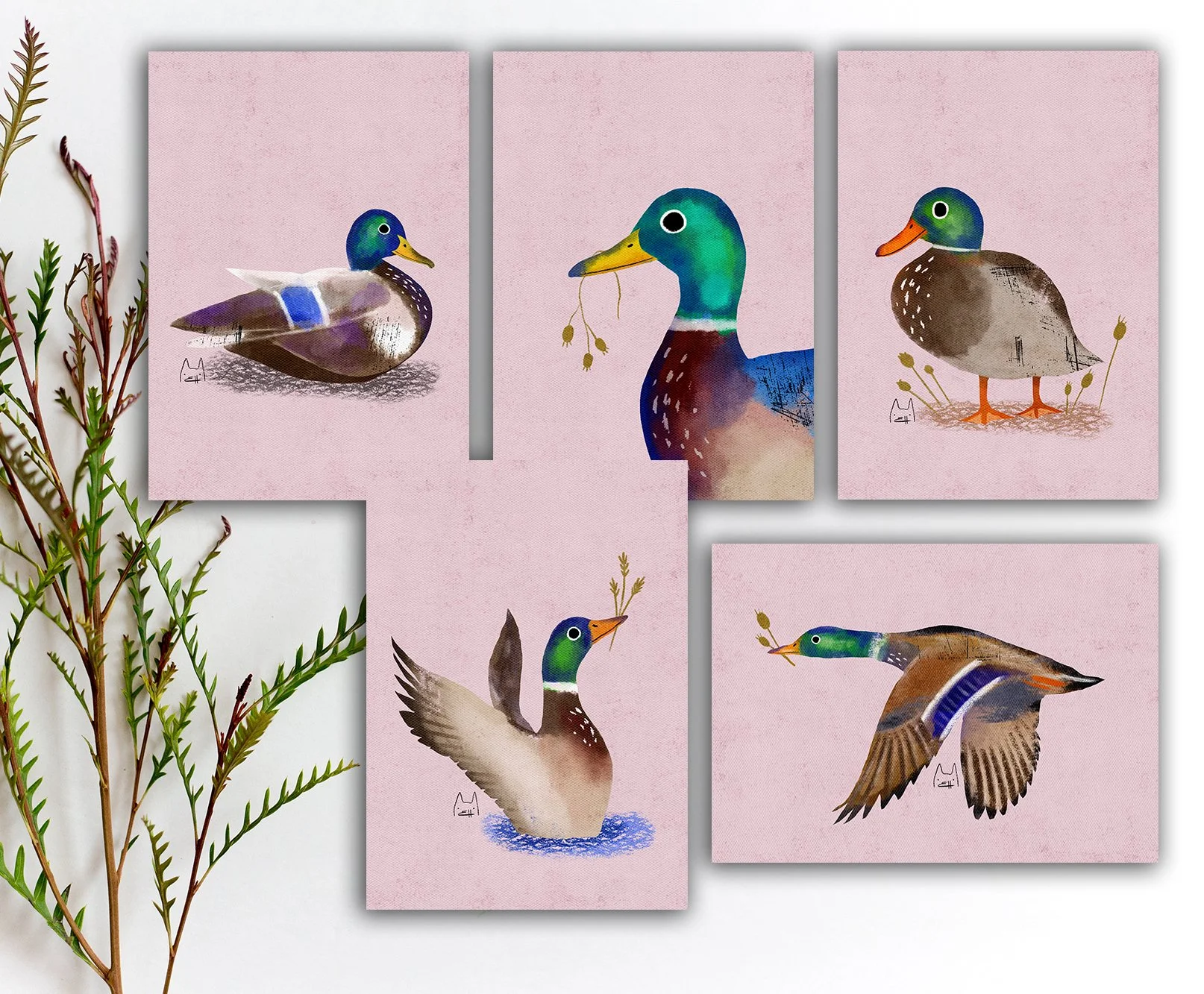 SBC-107 mallard 5x7 etsy.jpg