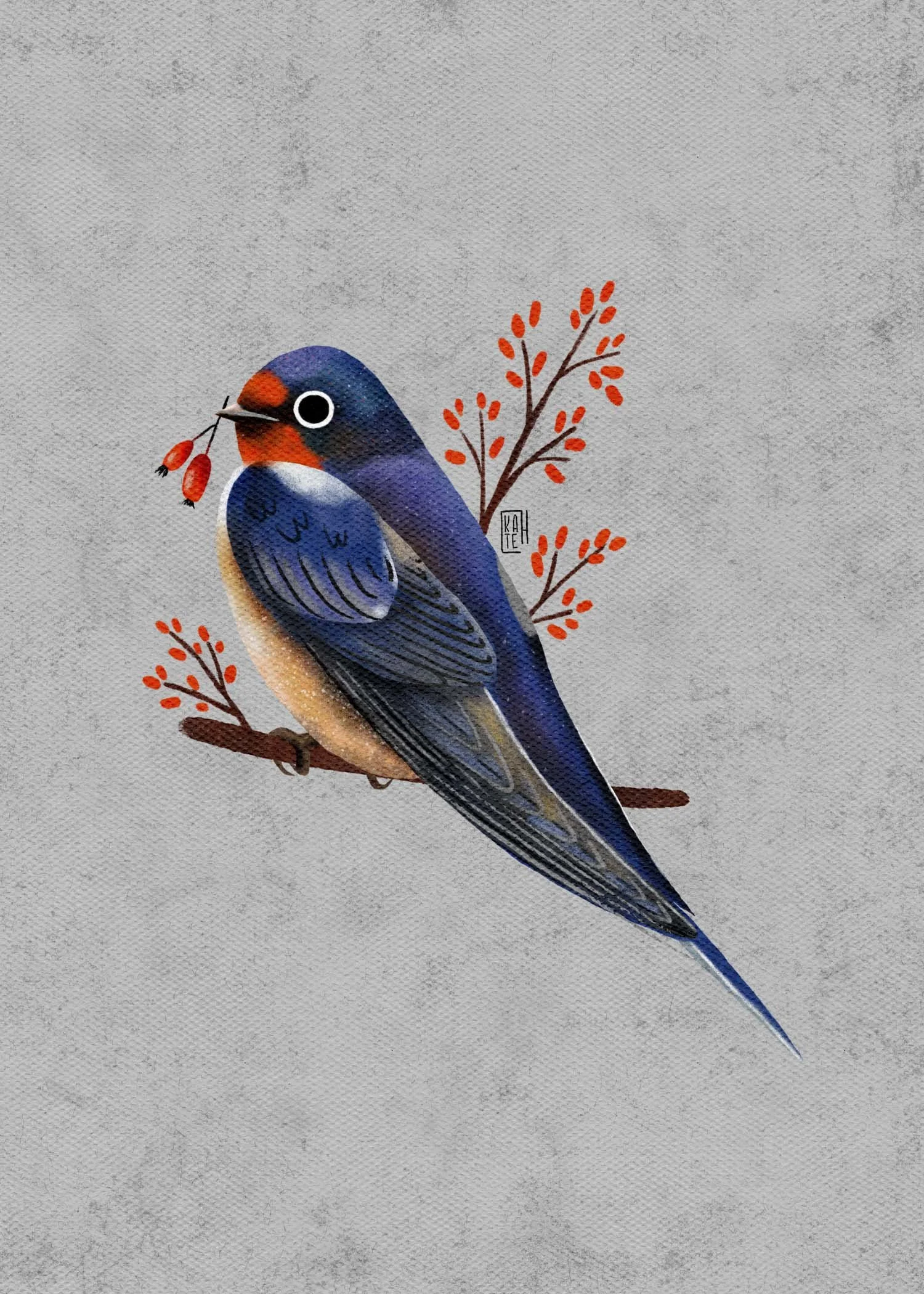 SBC-138 barn swallow-1.jpg