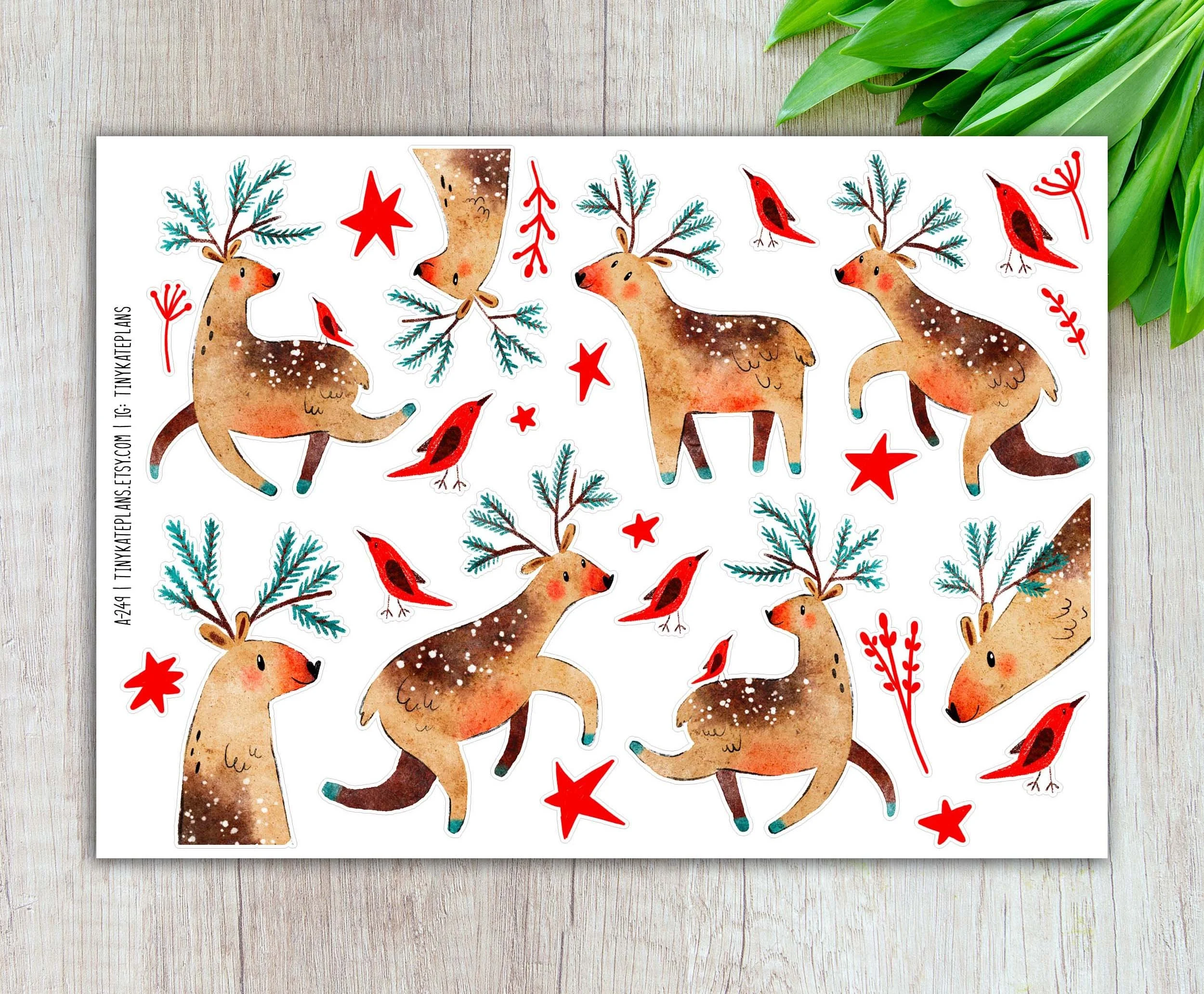 A-249 winter deer 5x7 etsy.jpg