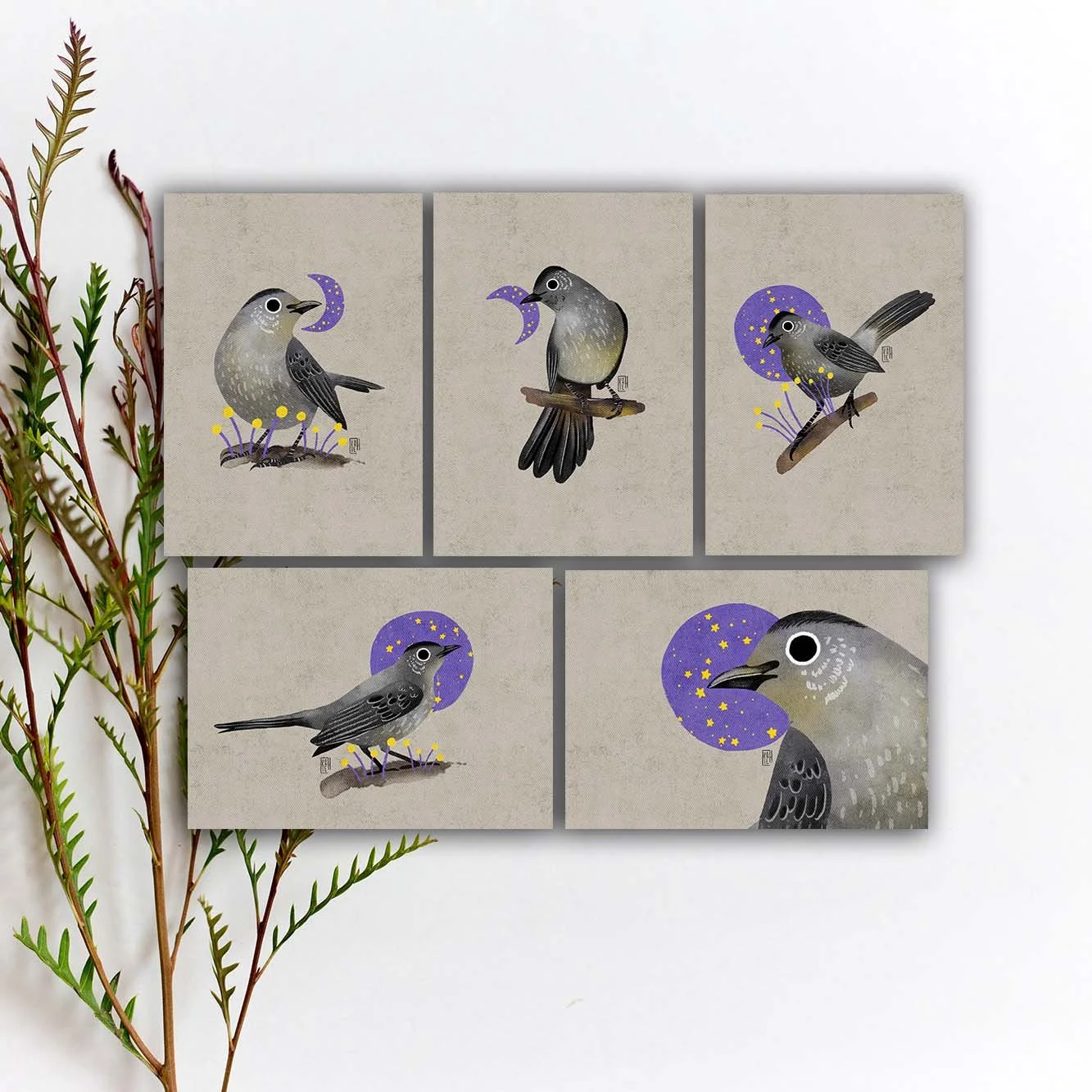 SBC-152 gray catbird 5x7 etsy.jpg