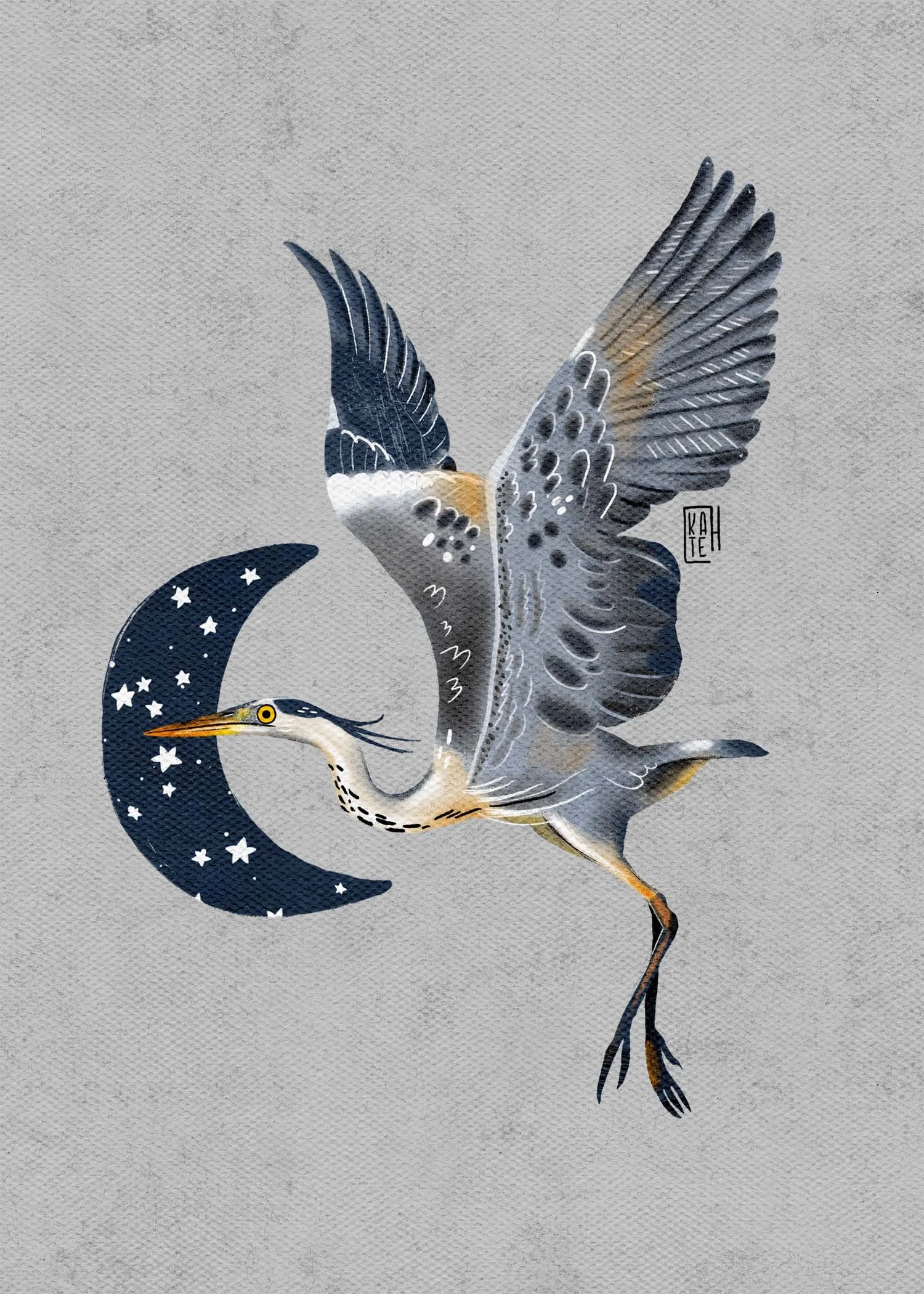 SBC-140 great blue heron-4.jpg