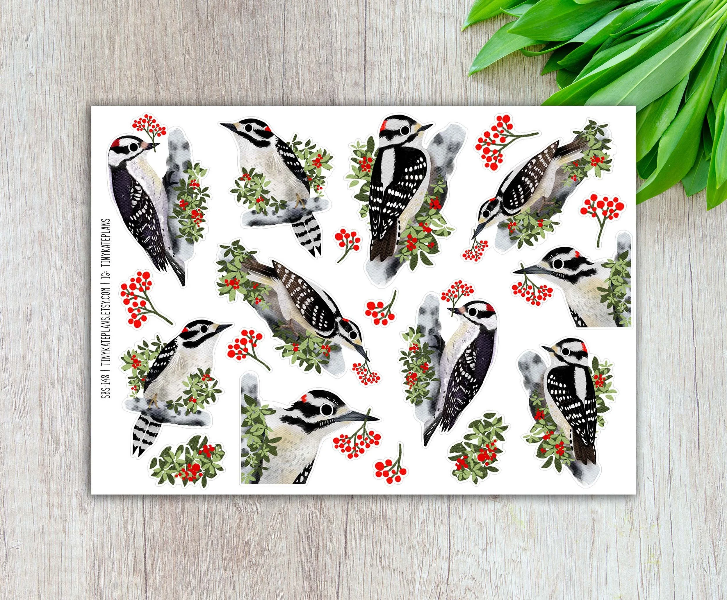 SBS-148 Downy woodpecker 5x7 etsy.jpg