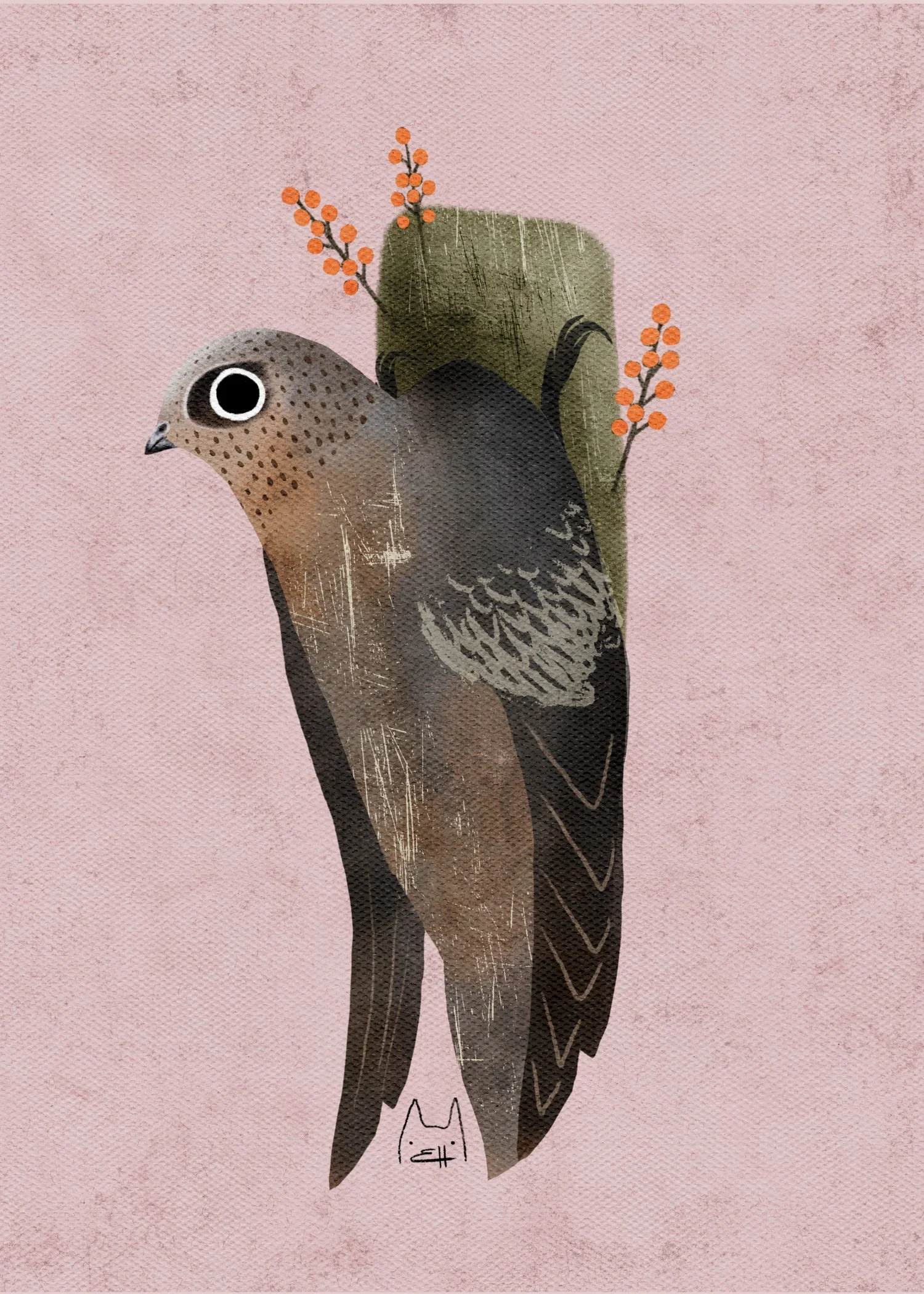 SBC-115 chimney swift 4.jpg