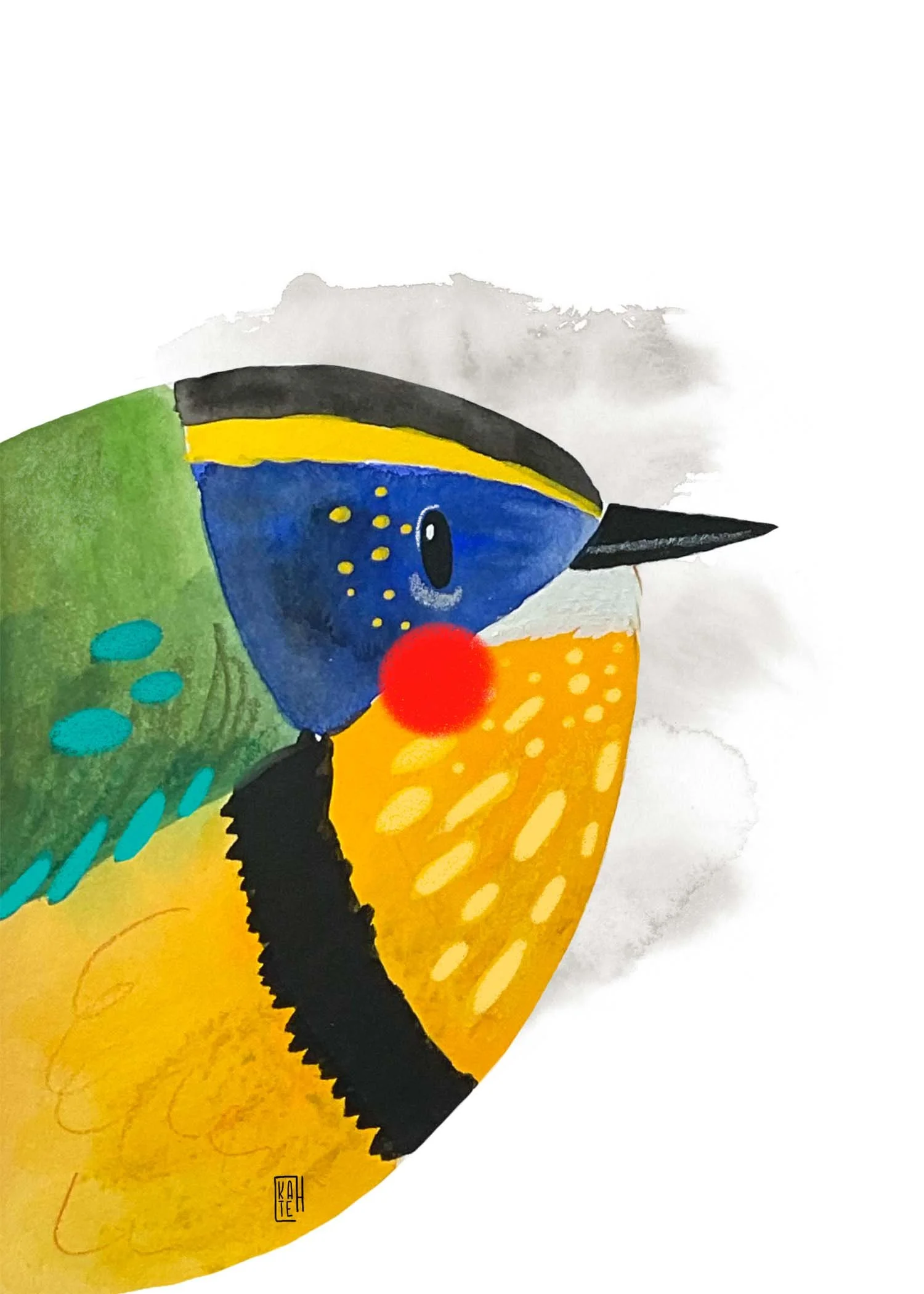 AC-228 many-colored rush tyrant-3.jpg