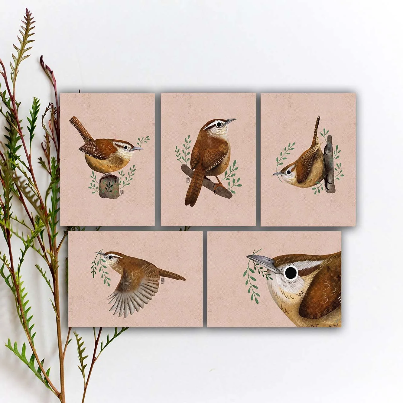 SBC-142 carolina wren 5x7 etsy.jpg