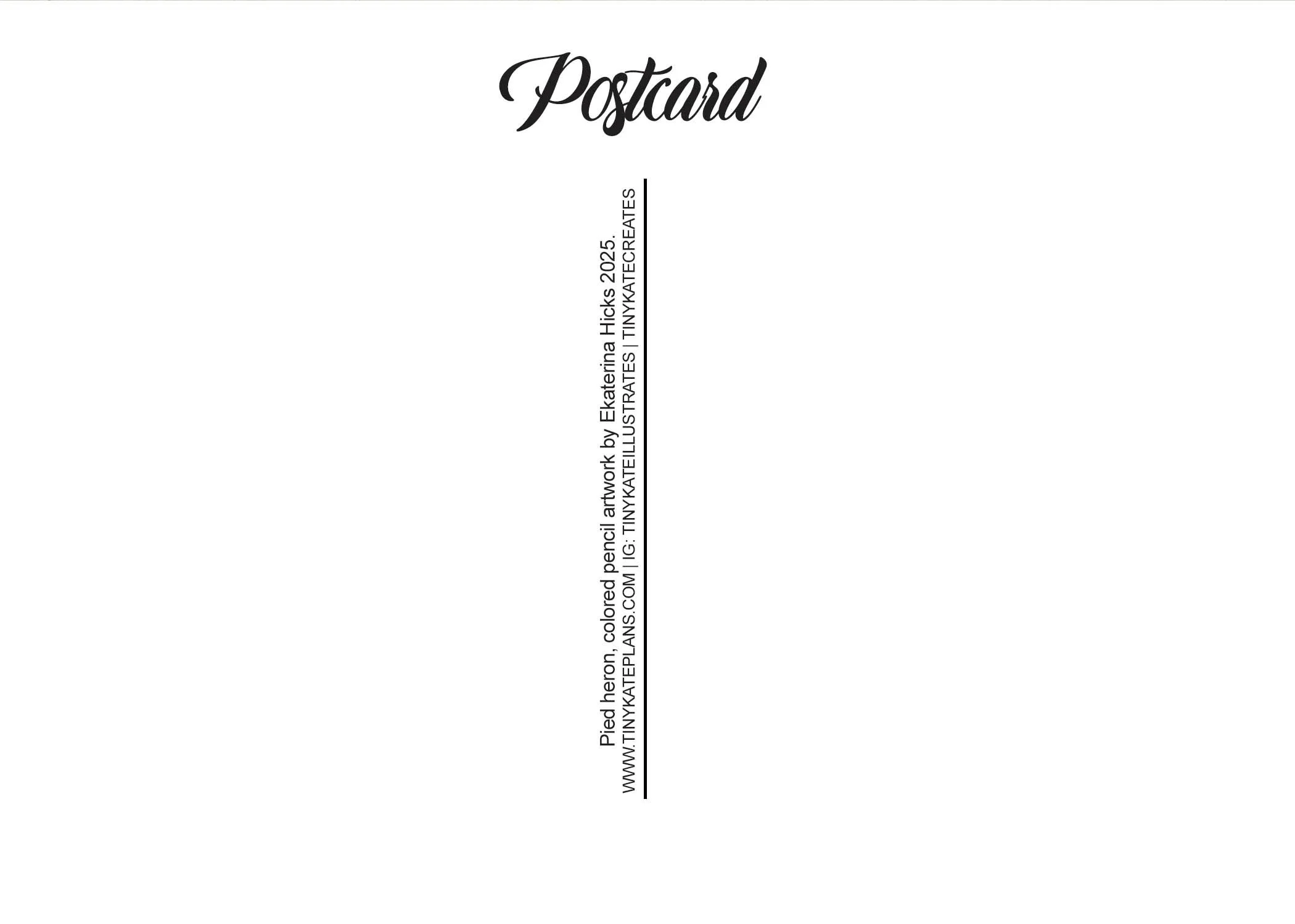 PC-117 pied heron 5x7 back.jpg