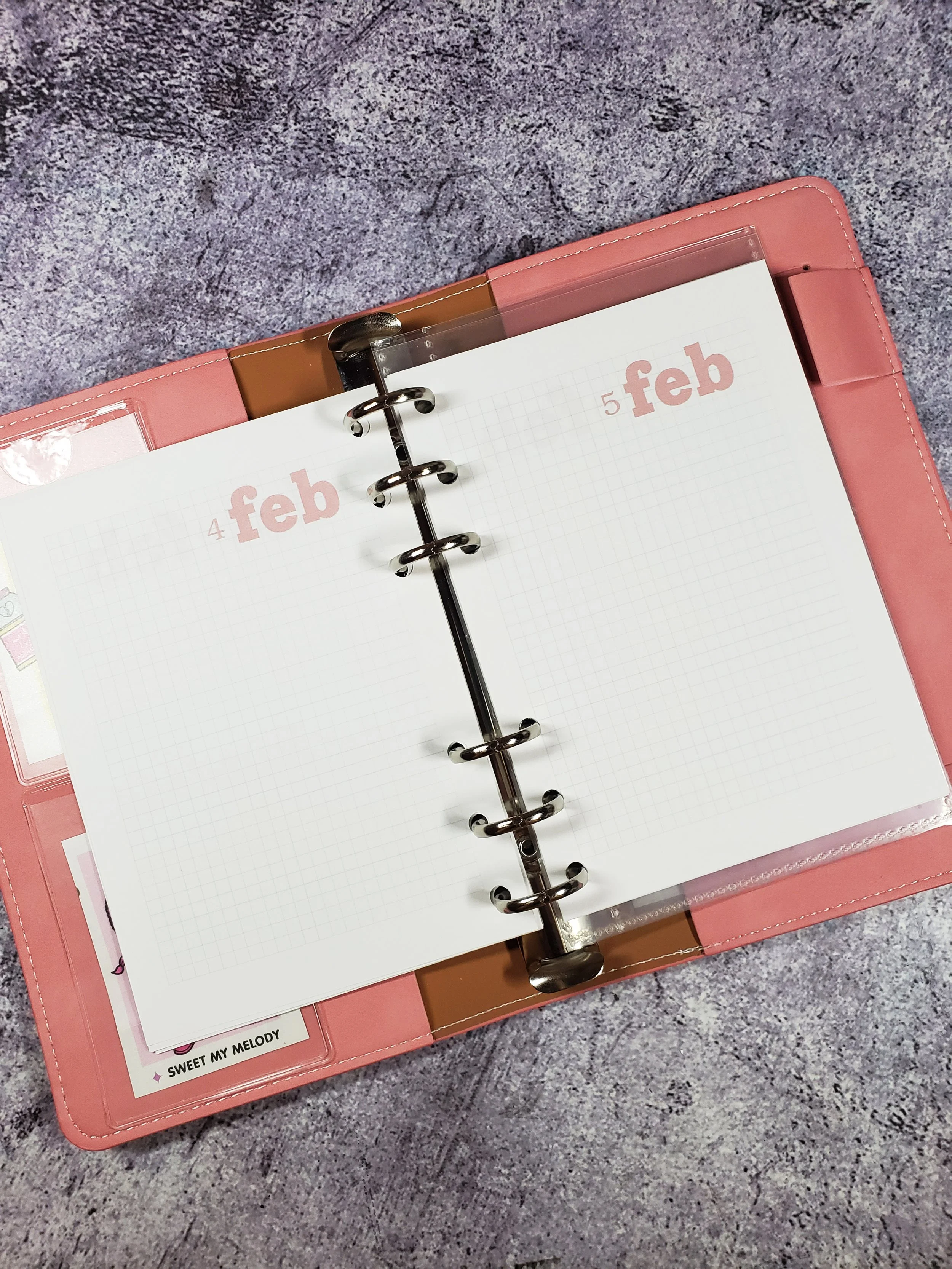 PRINTABLE February A6 UNDATED Ring planner grid daily inserts, A6 planner inserts