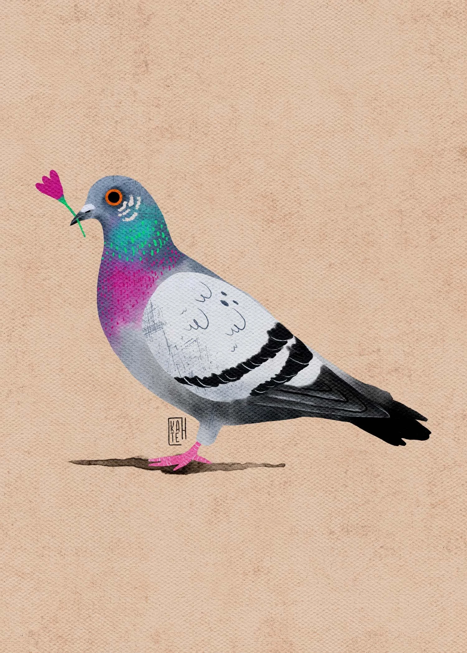 SBC-144 rock pigeons-2.jpg