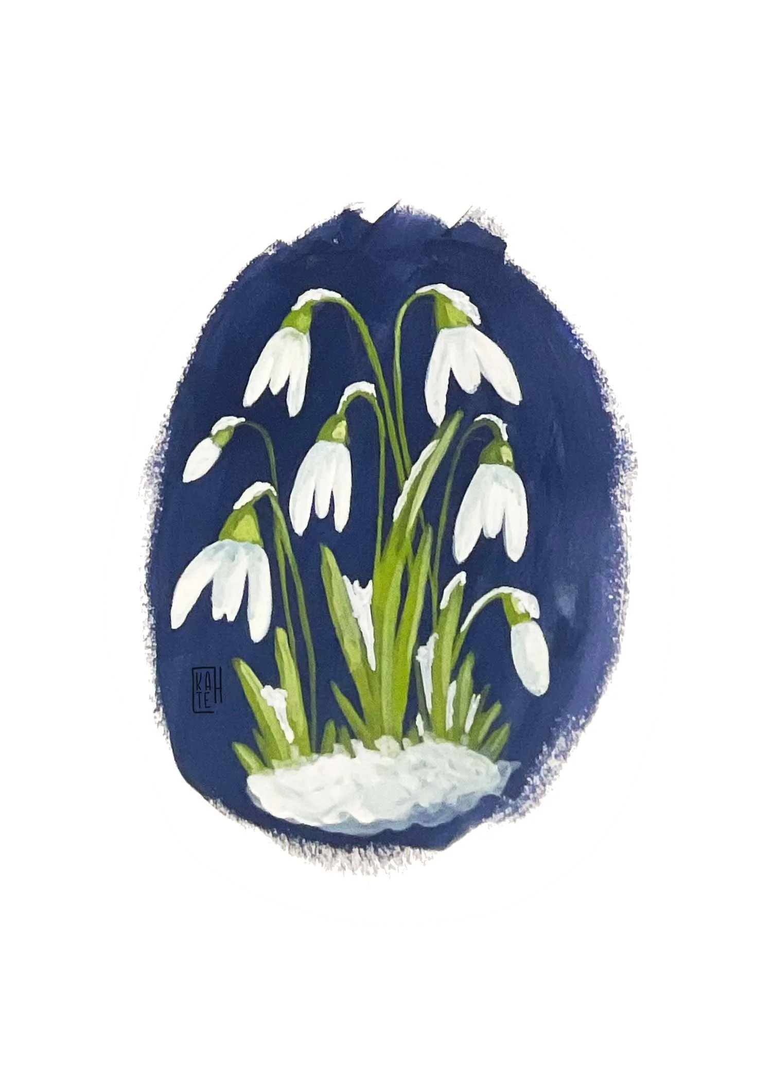 AC-234 snowdrops-1.jpg