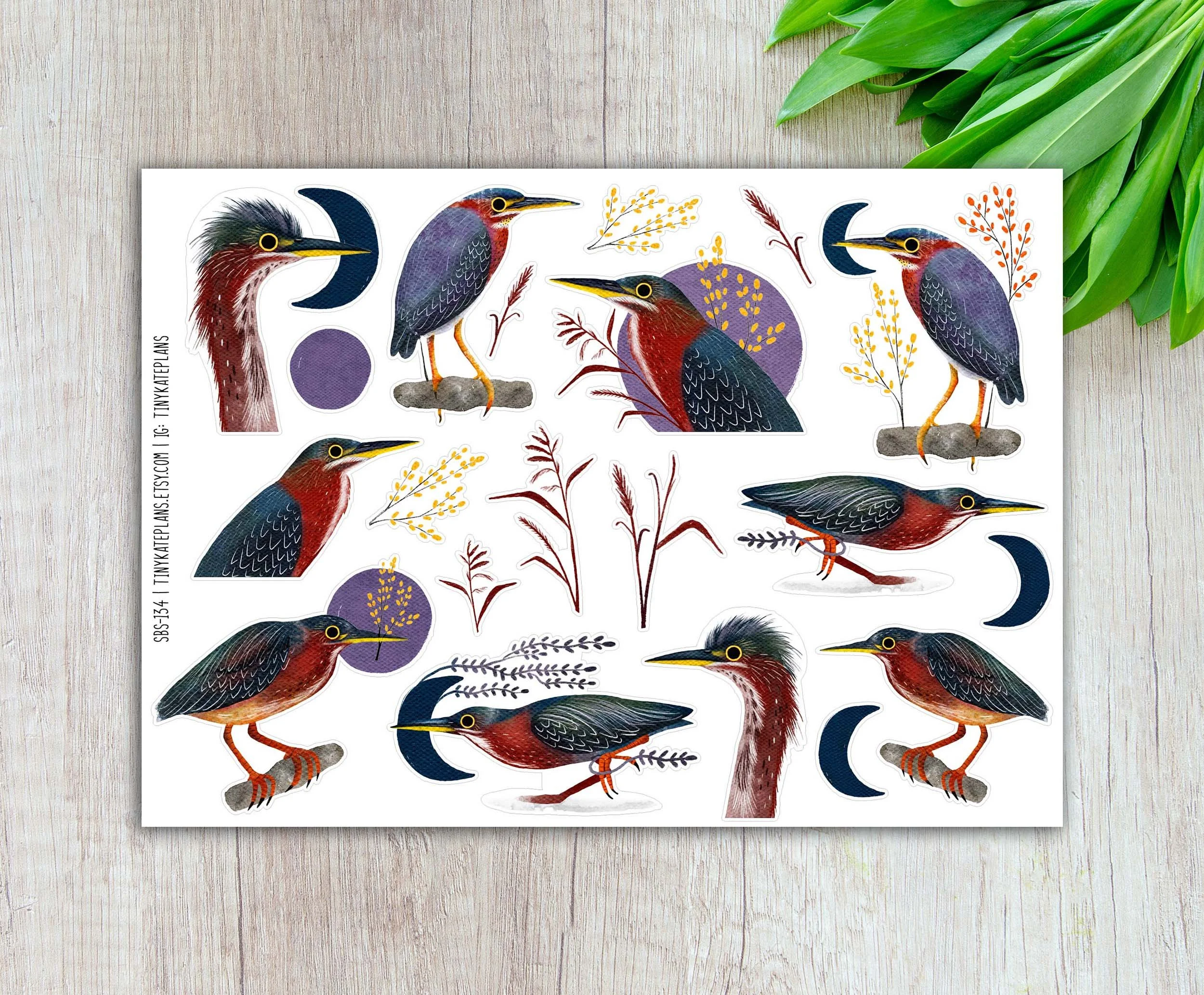 Green Heron Planner Stickers, Silly Bird Planner Stickers, Colorful River Bird Stickers, Bird Art Print Stickers. SBS-134