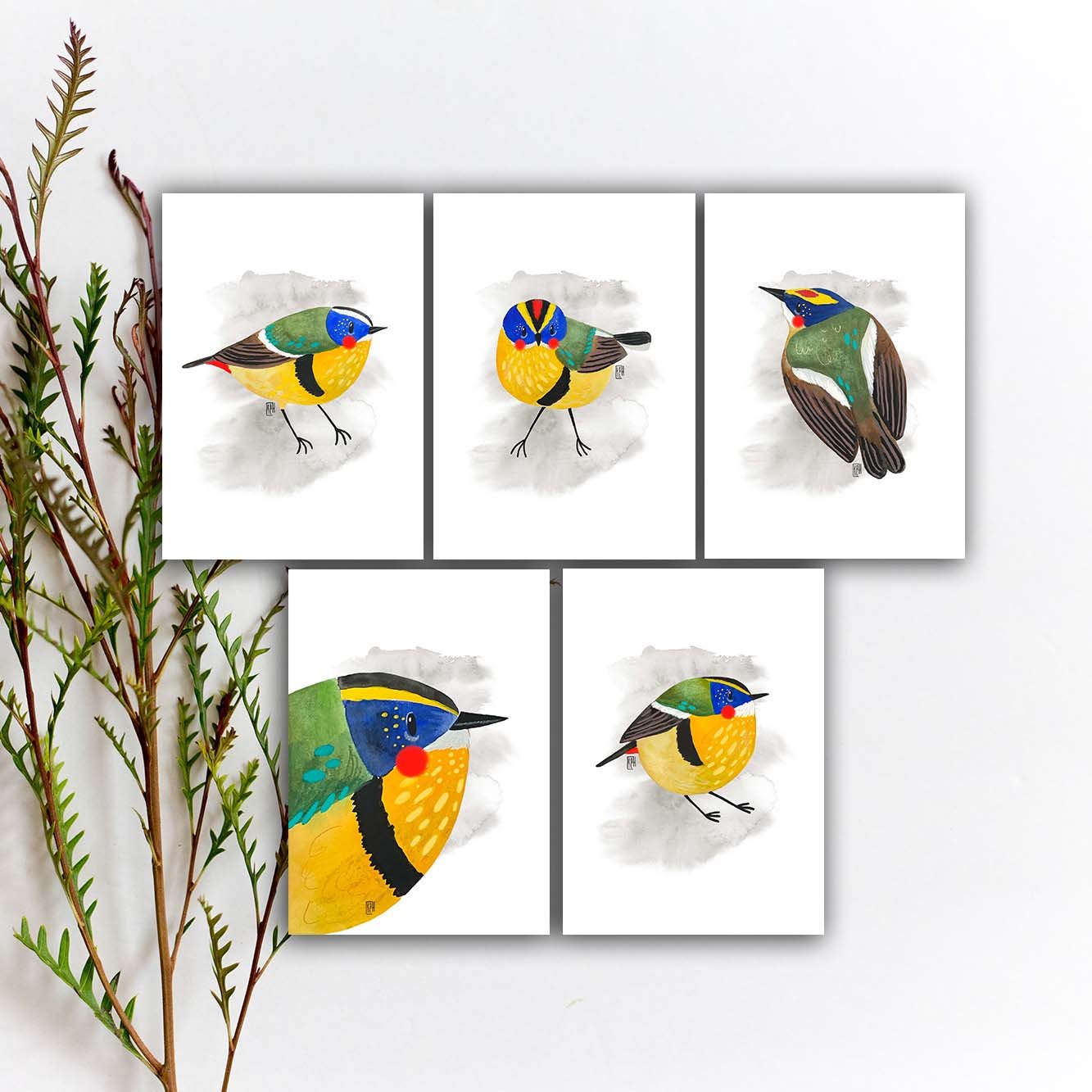 Many-colored Rush Tyrant Postcard Set, Colorful Bird Postcard, Watercolor Bird Penpal Postcard, Yellow Bird Art Print. AC-228