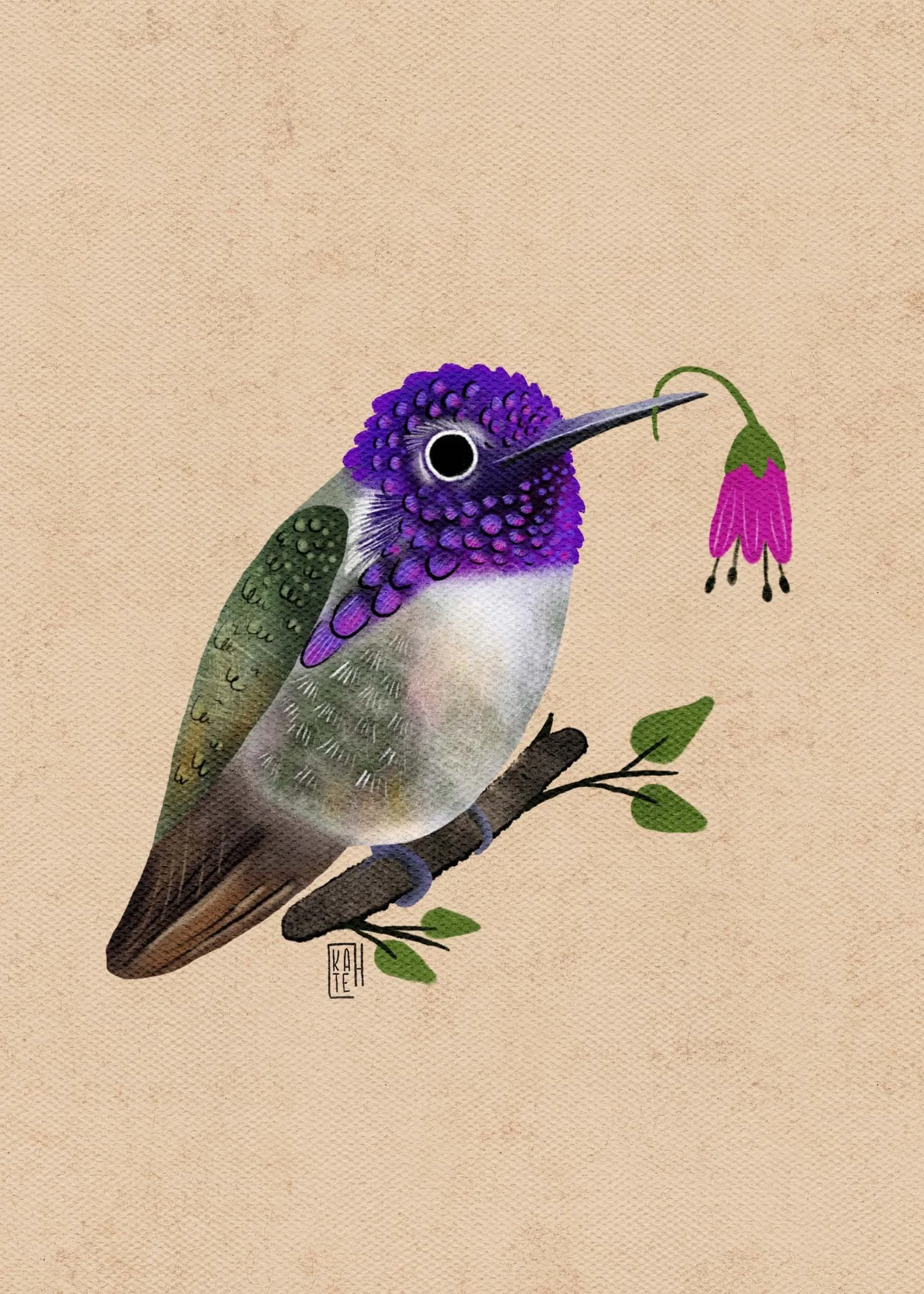 SBC-145 costas hummers-1.jpg