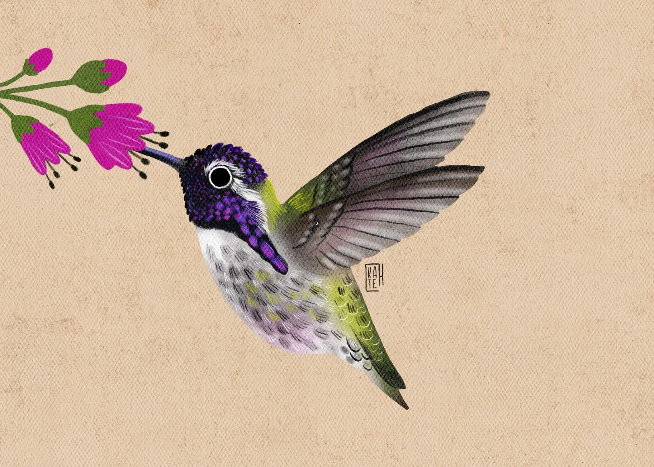 SBC-145 costas hummers-4.jpg