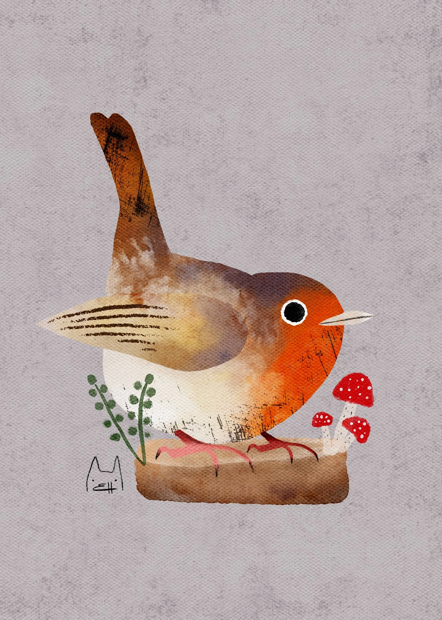 SBC-105 english robin-1.jpg