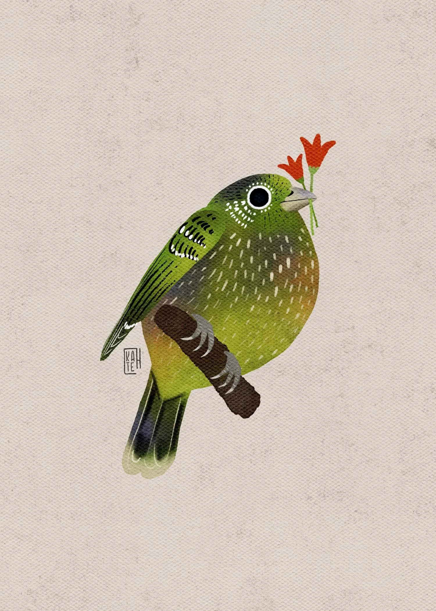 SBC-151 green catbird-4.jpg