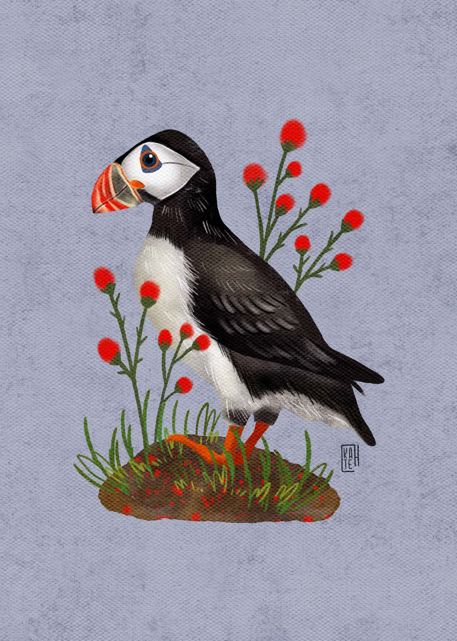 SBC-149 atlantic puffin-3.jpg