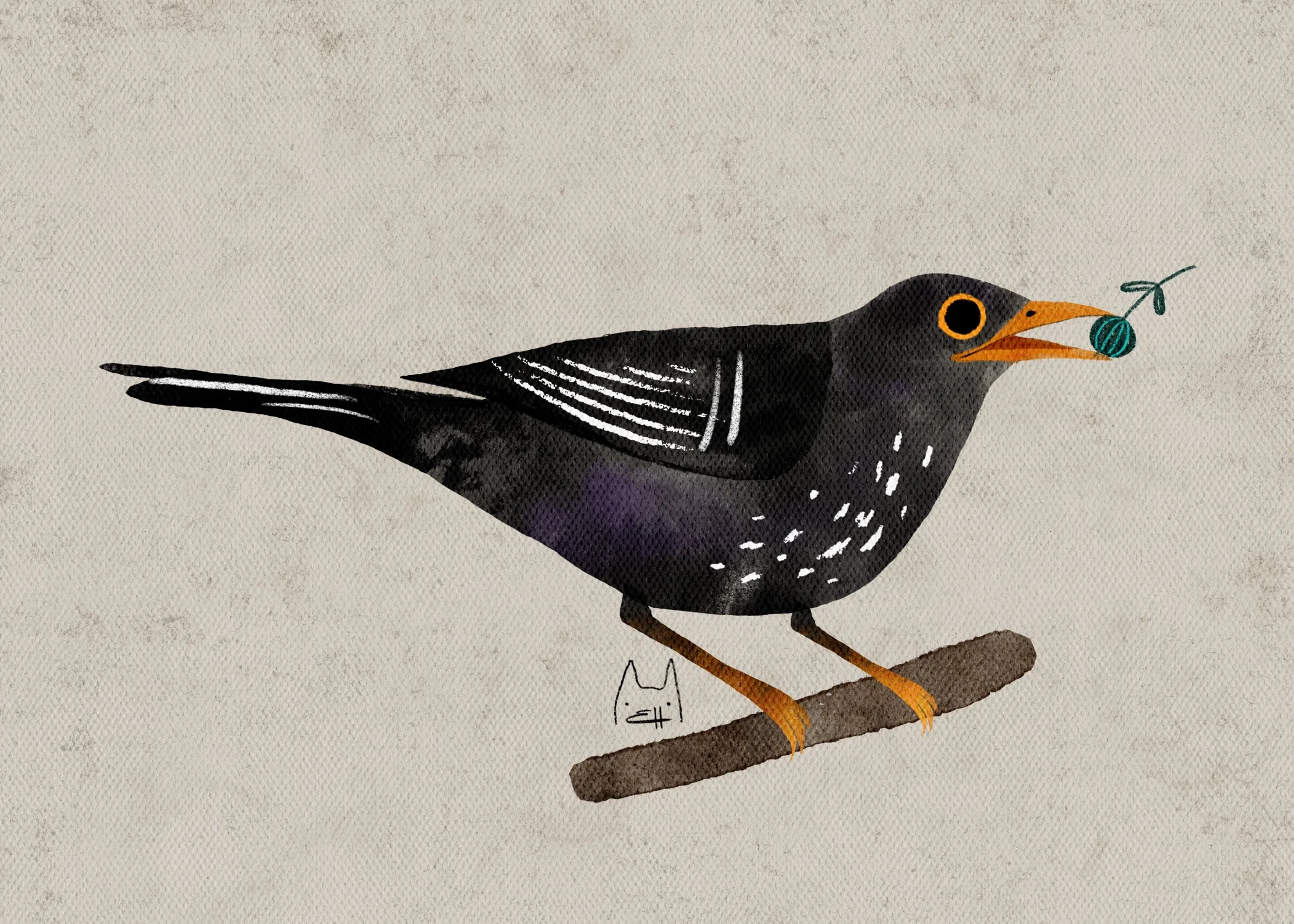 SBC-116 common blackbird 5.jpg