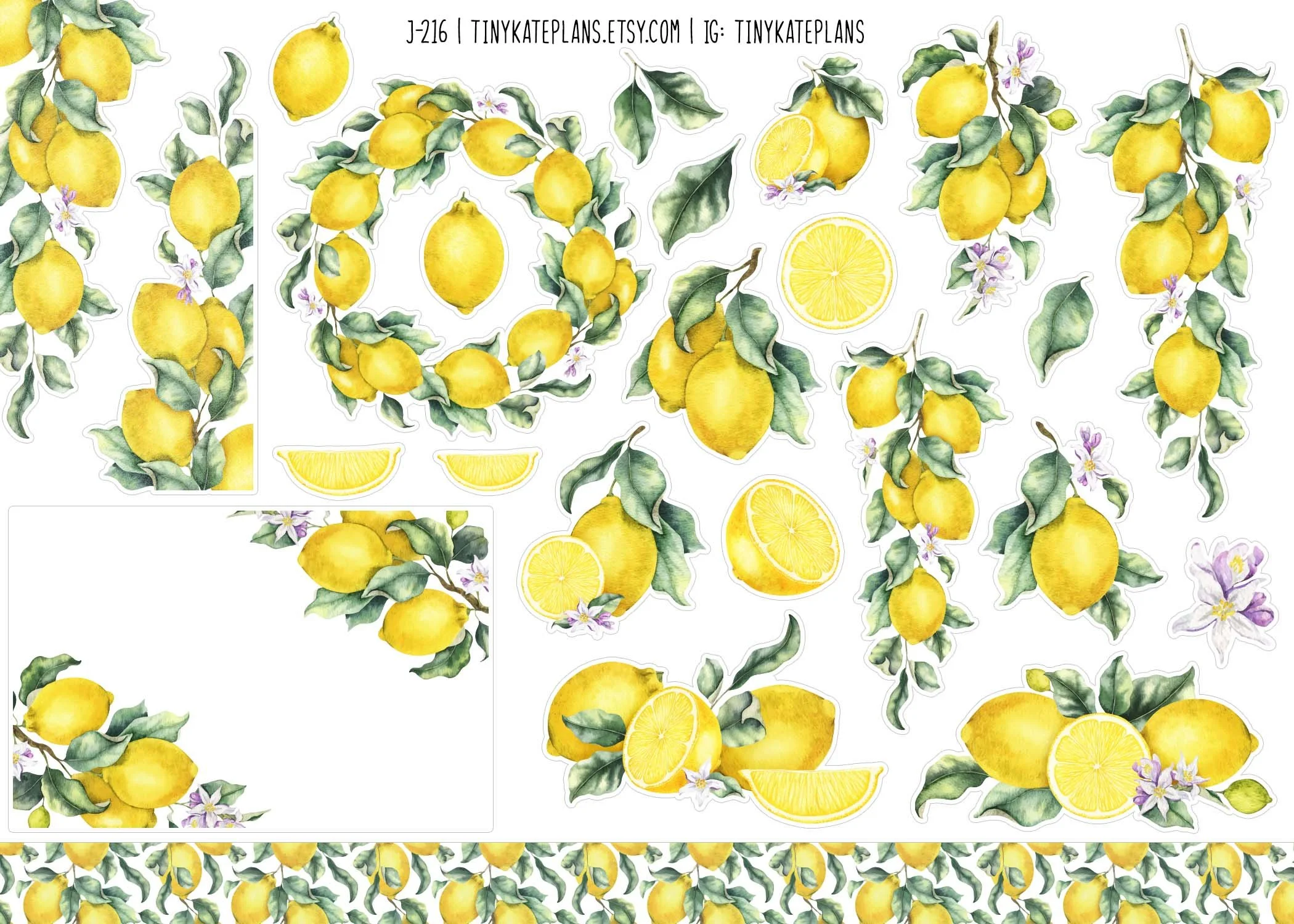 J-216 lemons 5x7.jpg