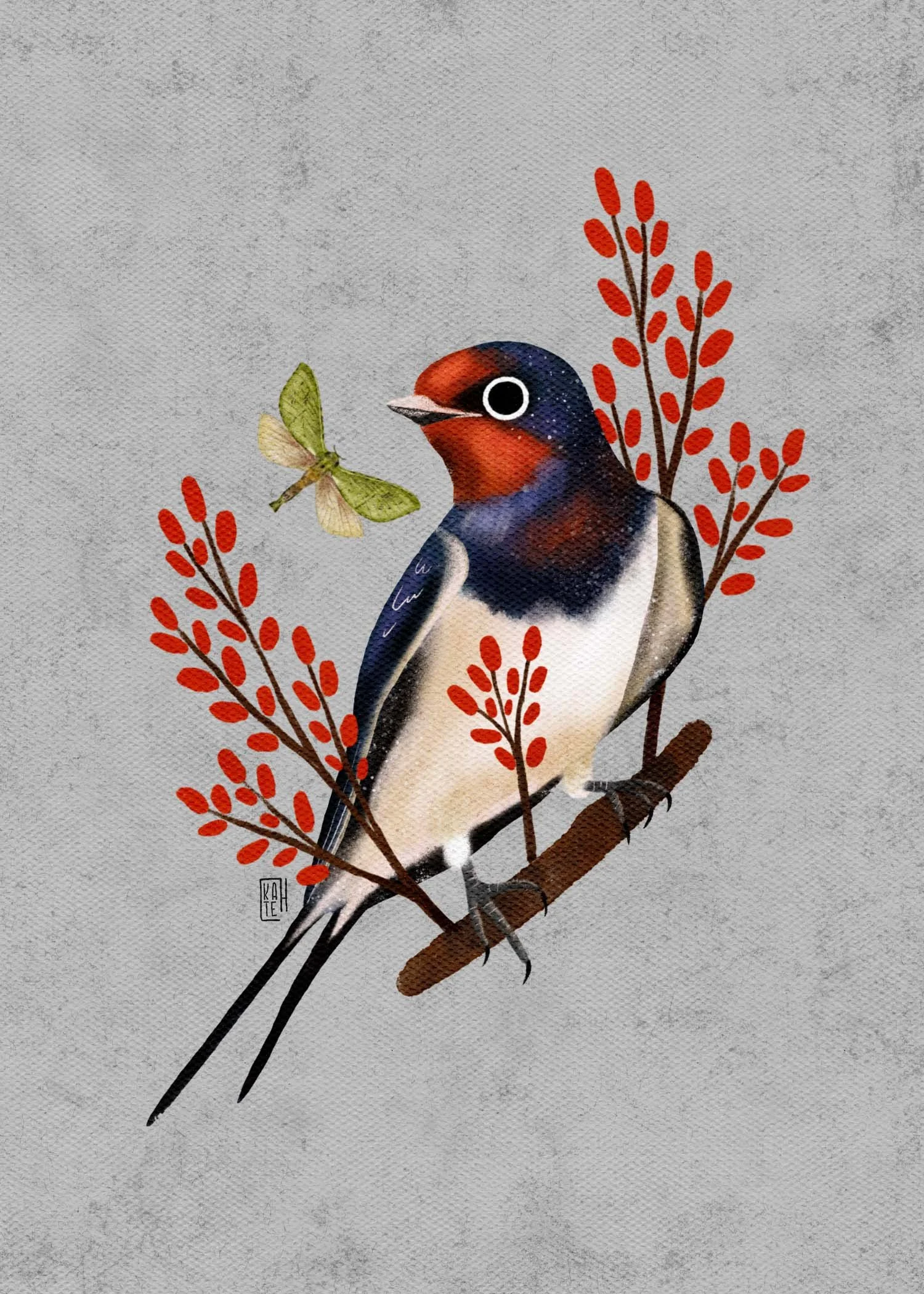 SBC-138 barn swallow-5.jpg