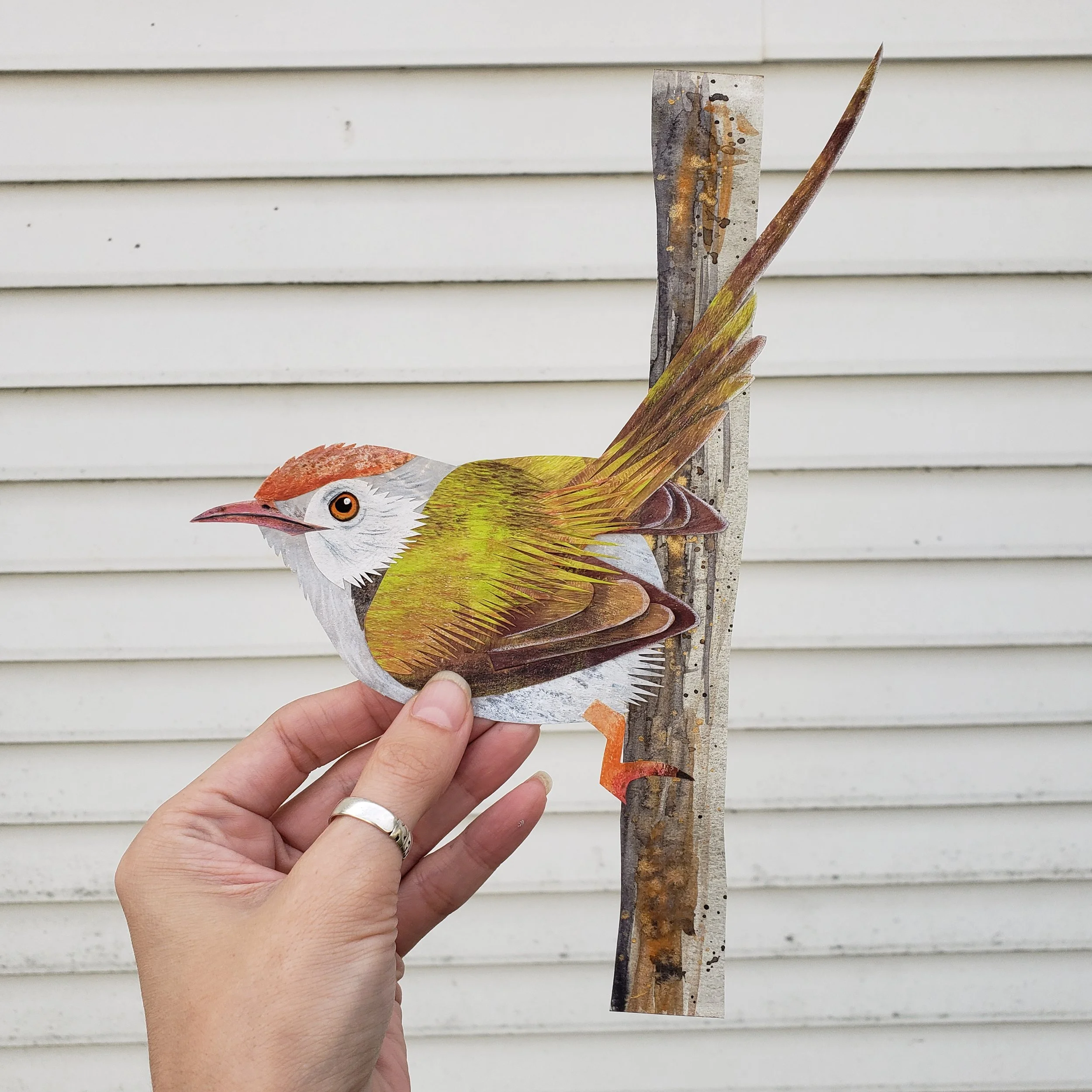 Comissioned paper collage bird