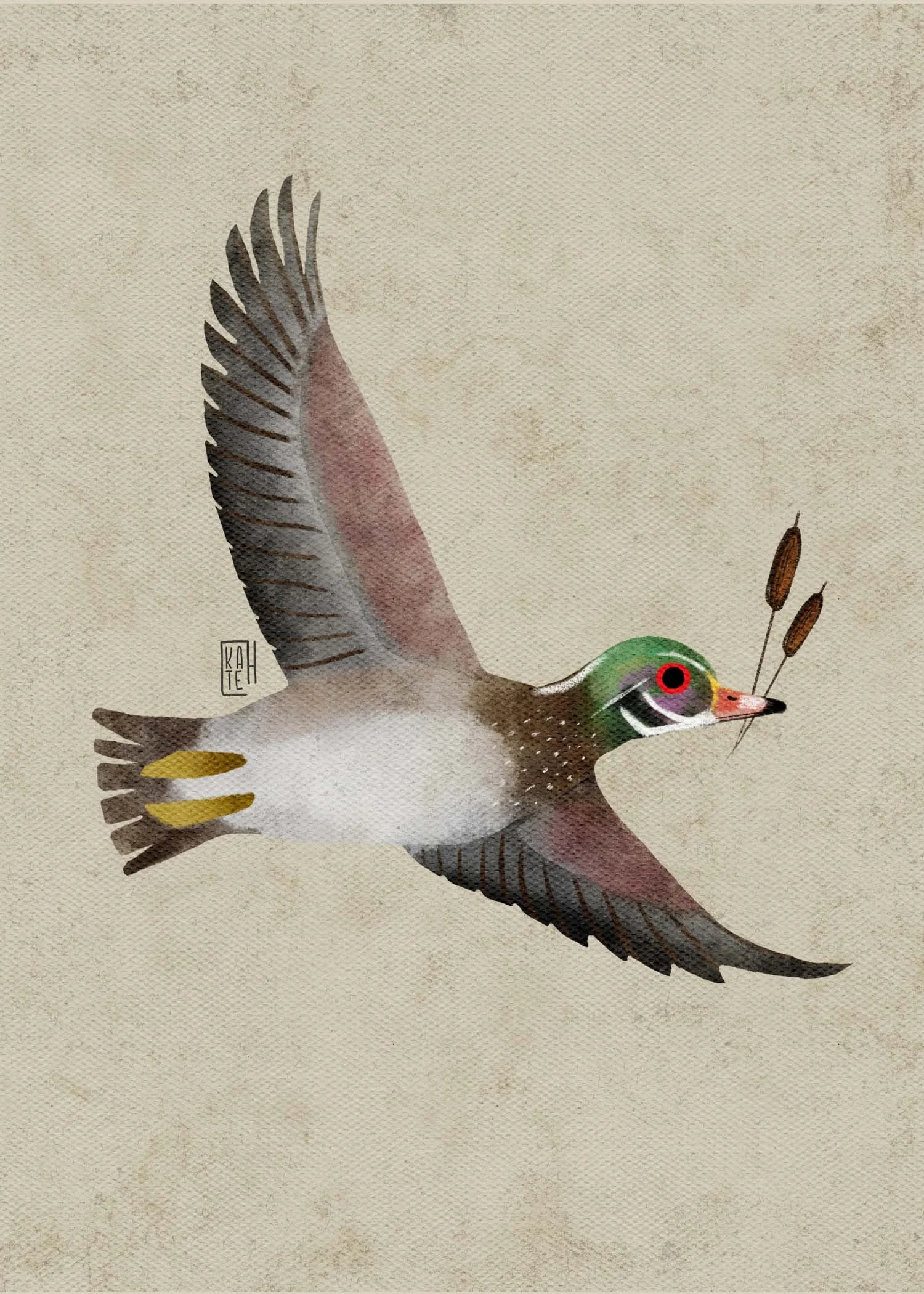 SBC-113 wood duck 2.jpg