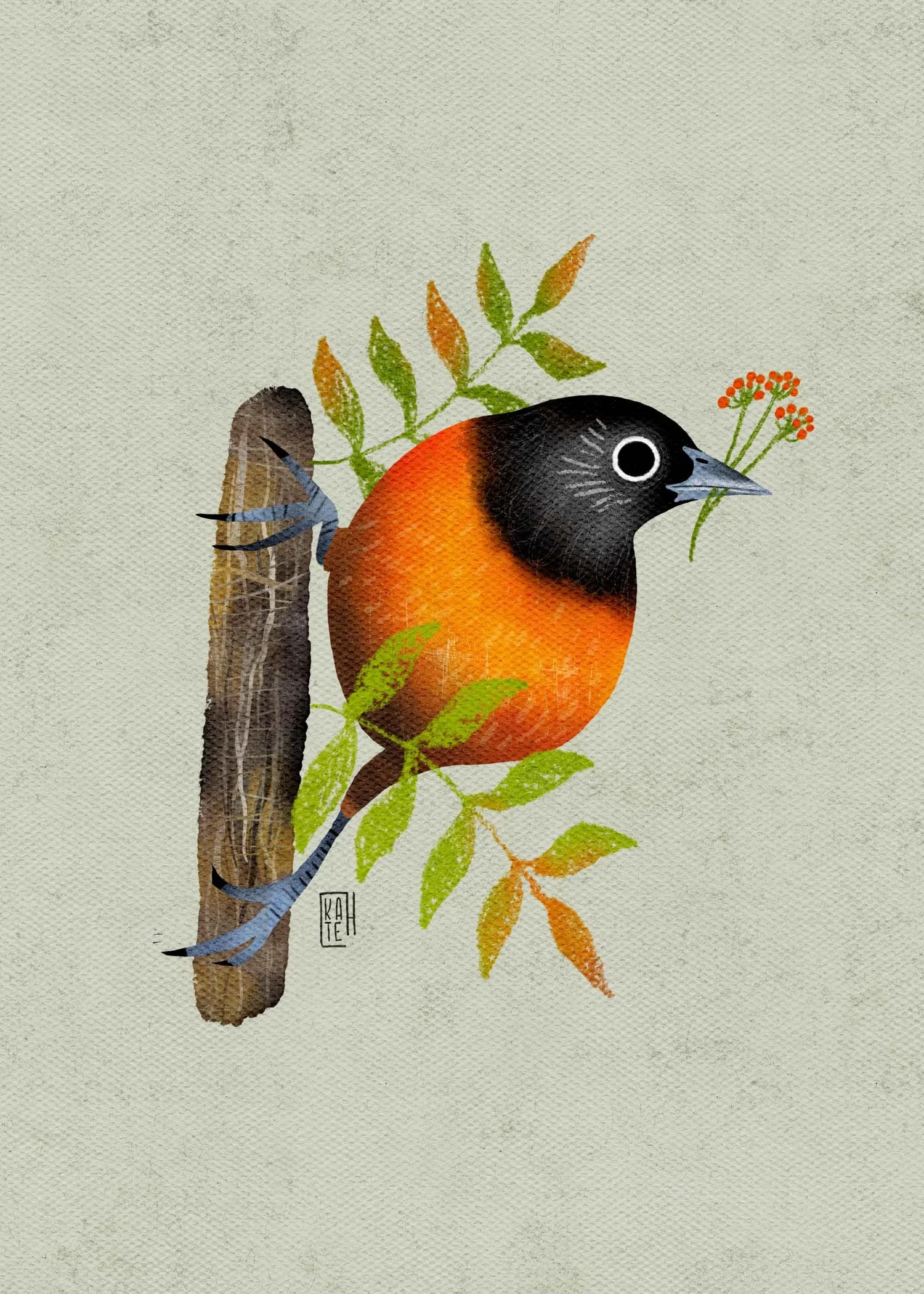 SBC-150 baltimore oriole-1.jpg