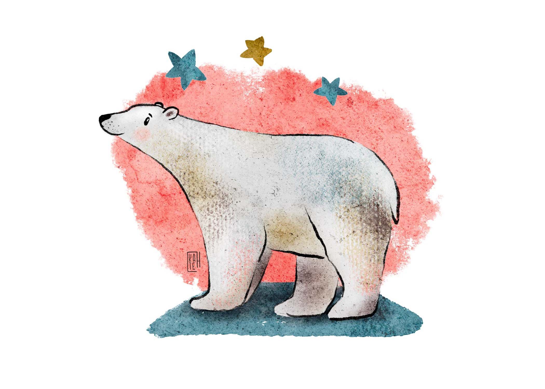 AC-227 polar bears-6.jpg