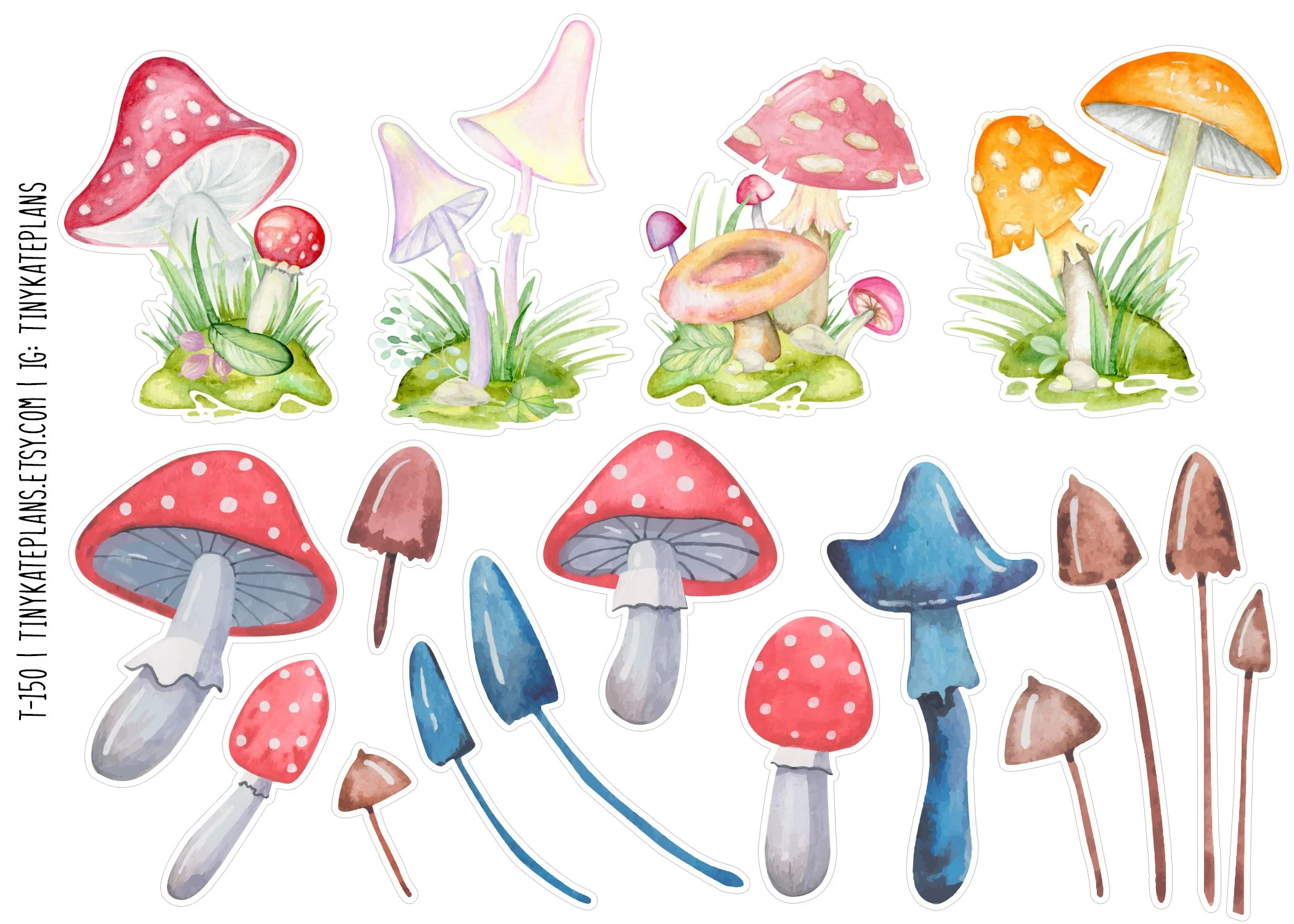 T-150 pastel color mushrooms 5x7.jpg