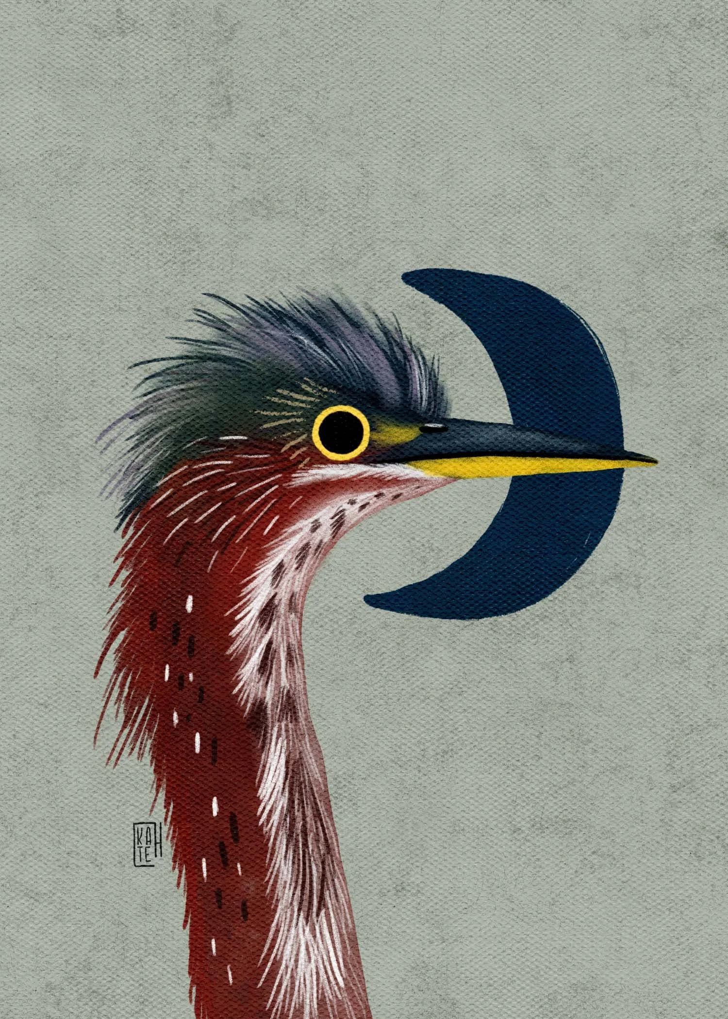 SBC-134 green heron-4.jpg