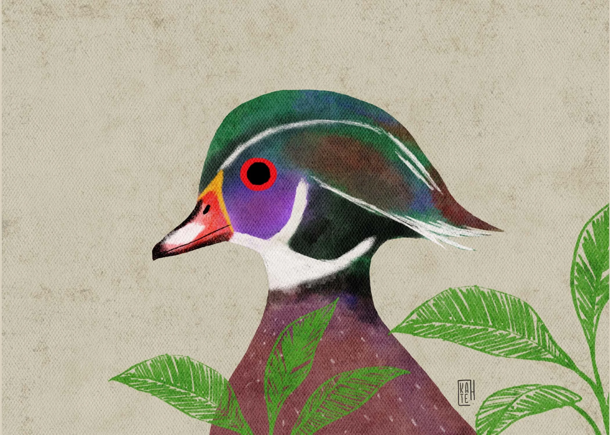 SBC-113 wood duck 4.jpg